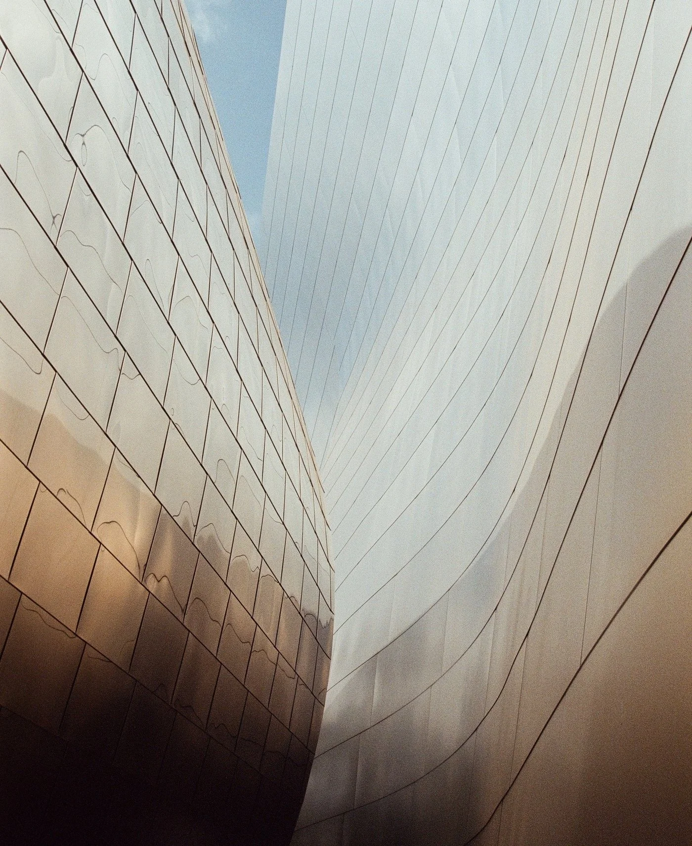 Curved steel walls of Walt Disney Concert Hall in Los Angeles, shot on film
