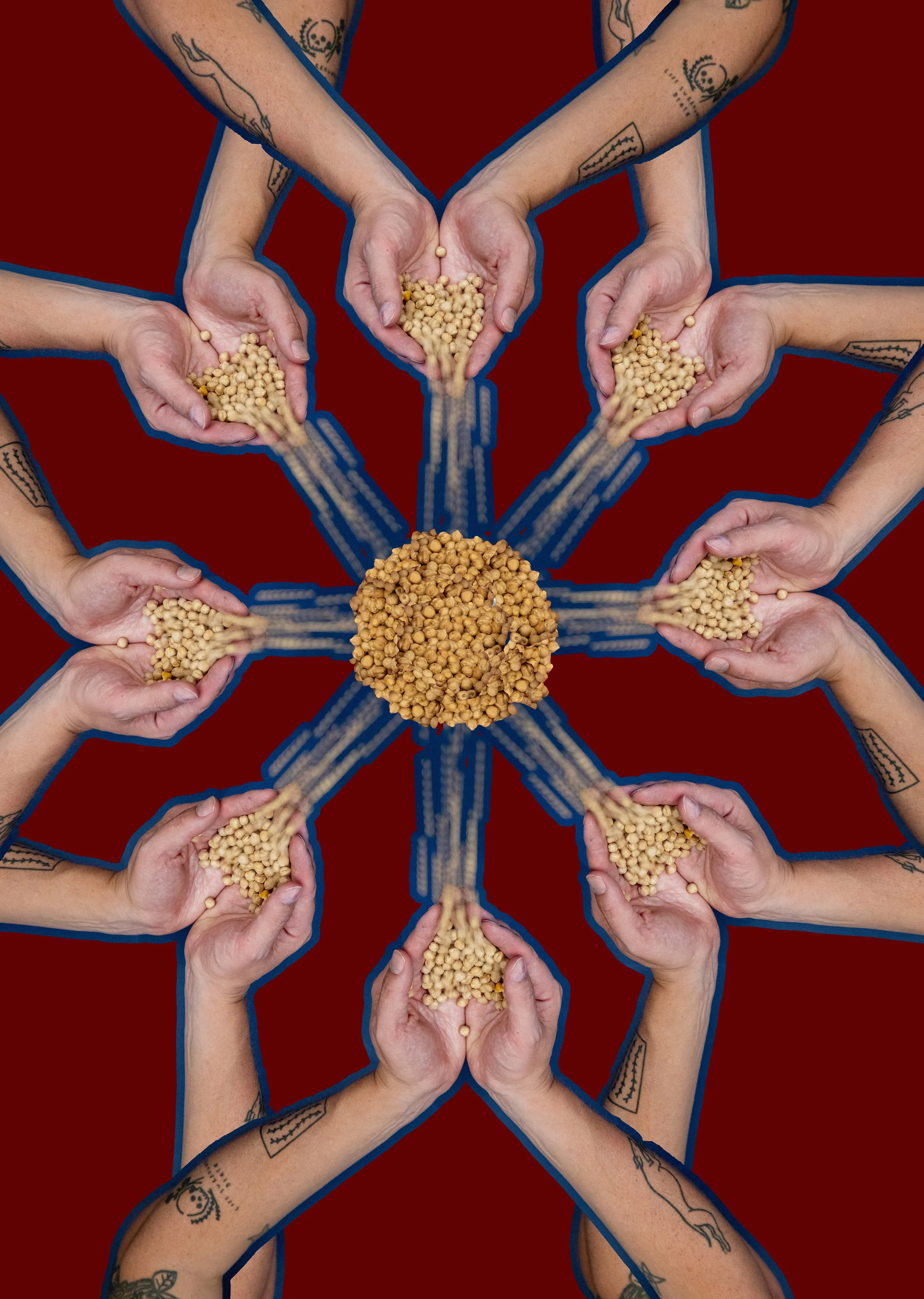 Multiple hands with tattoos are holding and pouring chickpeas, with a red background and a blue outline around each hand.