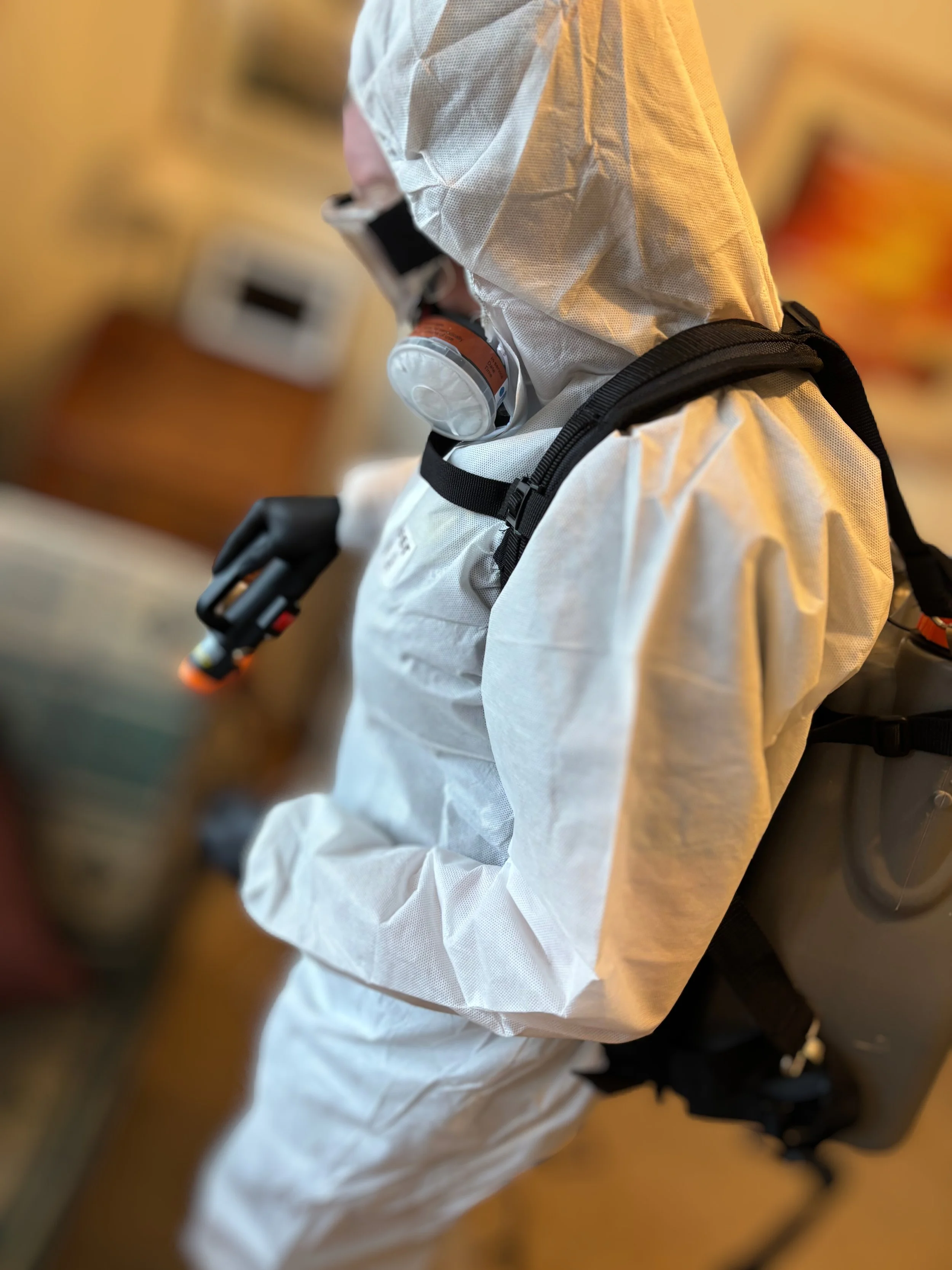 Fogging - Image with Blur 2.jpg