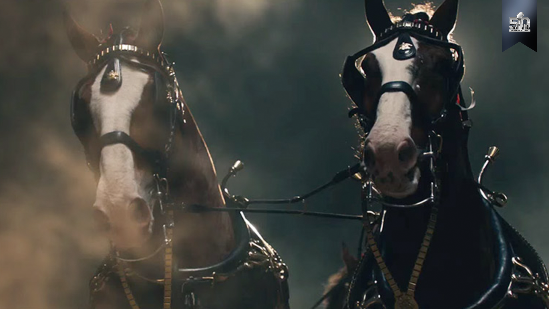 Budweiser | Not backing down