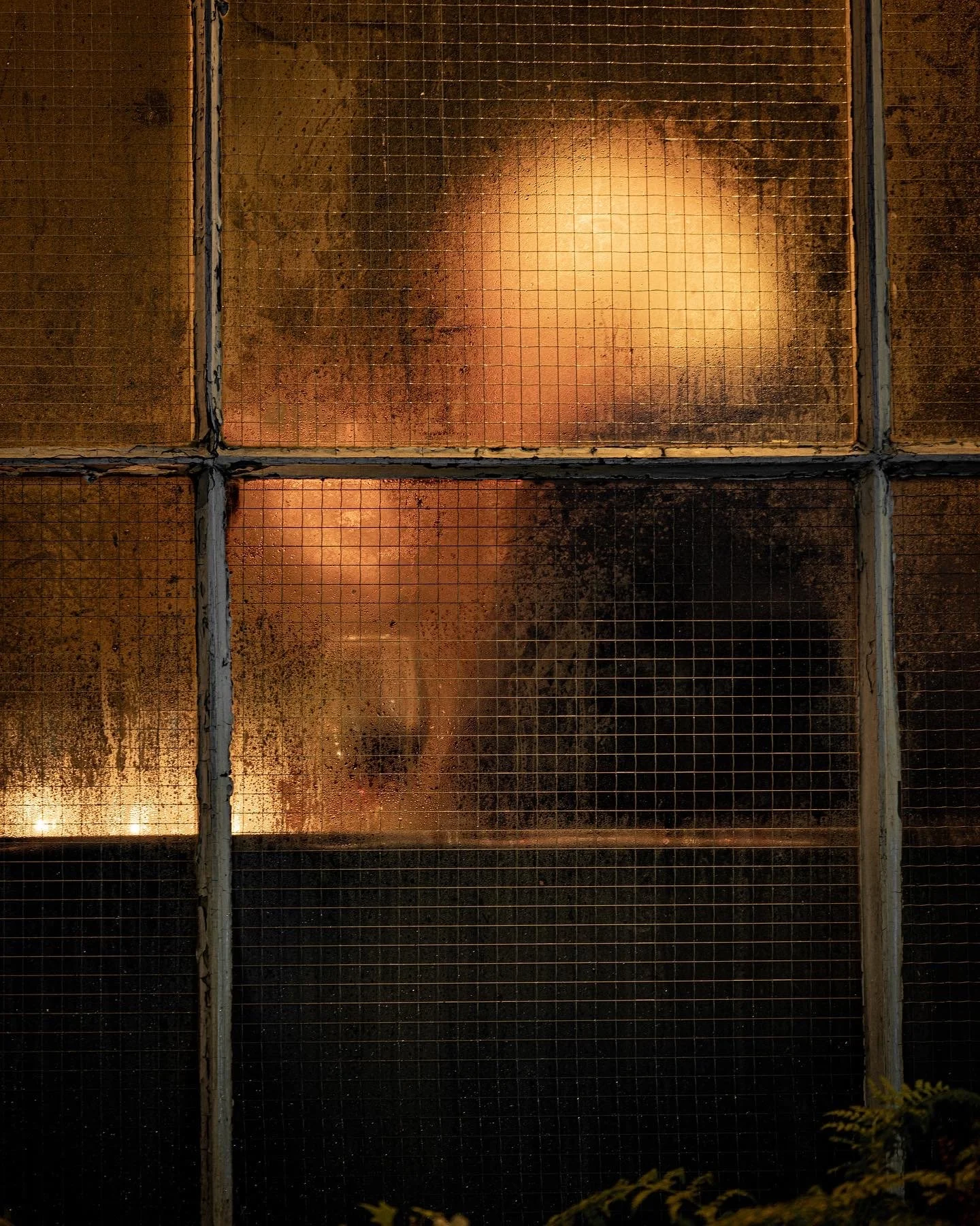 A close-up of a section of a metal grid window with multiple panes, some showing reflections or foggy glass, illuminated from behind with warm light.