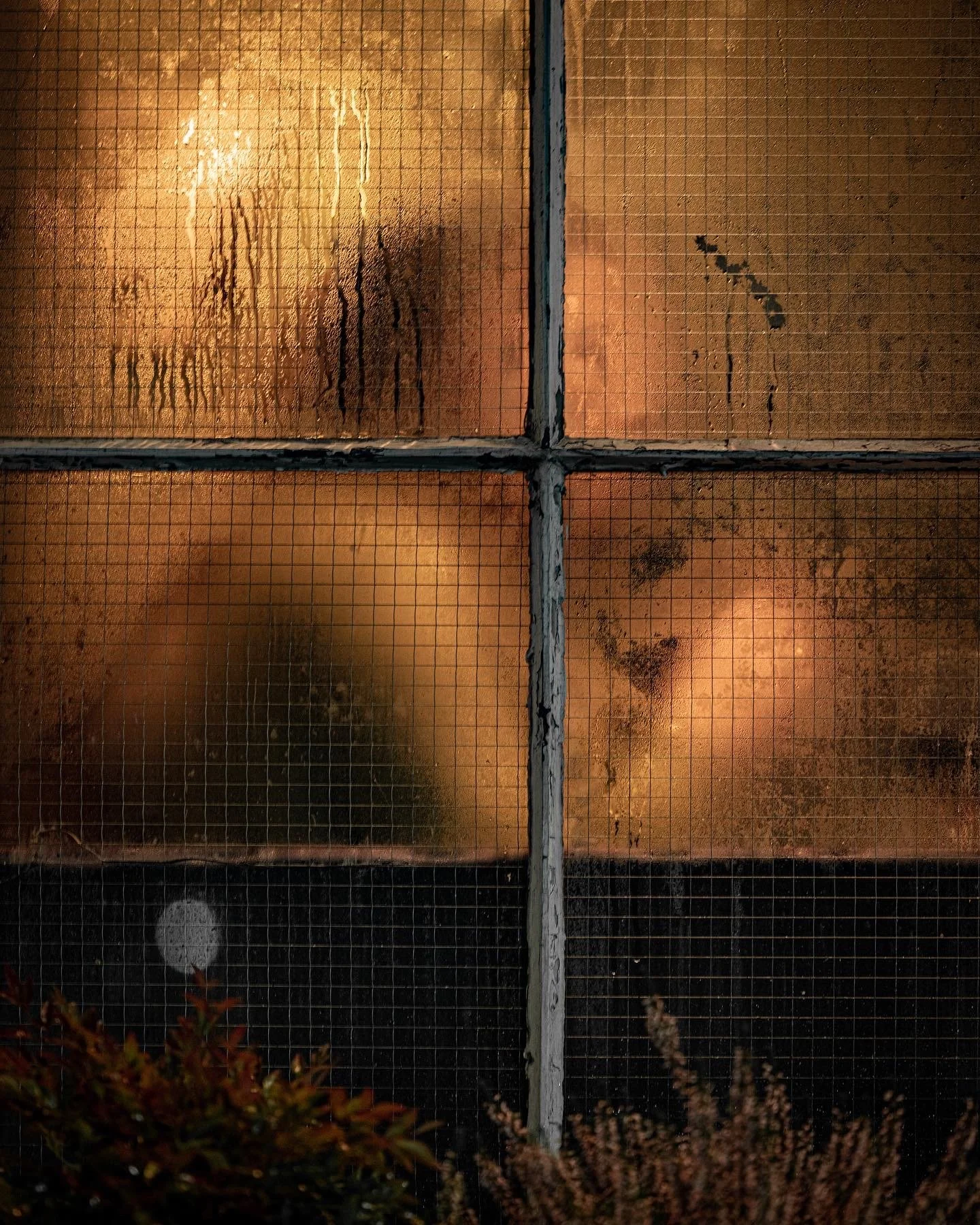 A tall glass window appears foggy and dirty with water streaks and grime, divided into four sections by metal frames, with a dark exterior and some foliage at the bottom.
