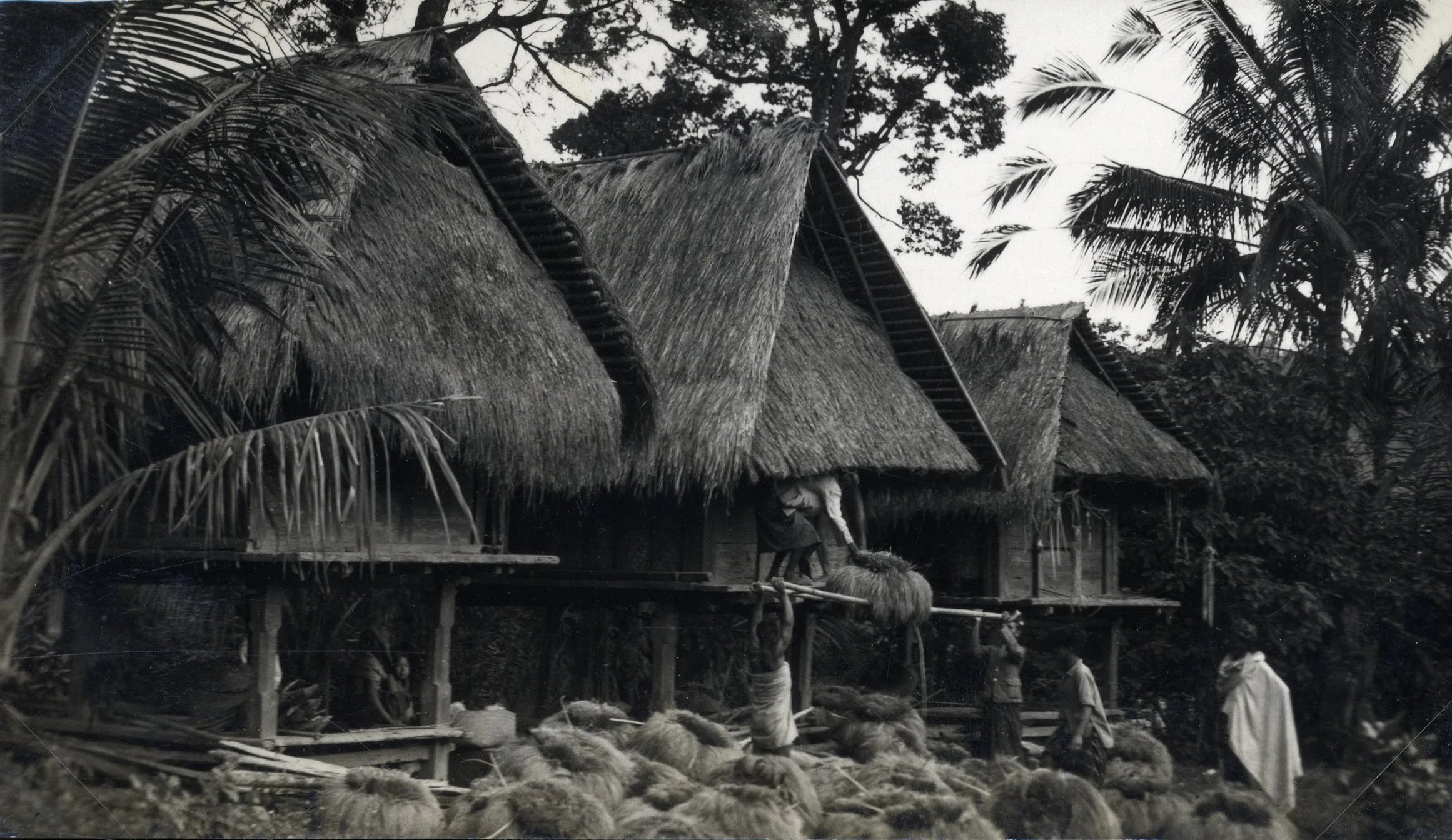 foto for “Goodbye Padi Welcome Lumbung”,.jpg