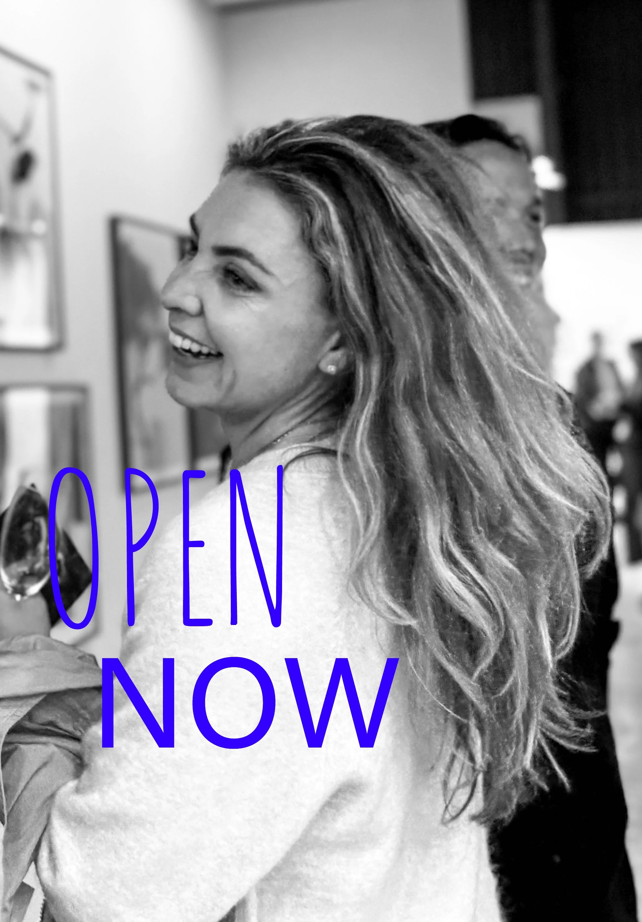 Christine van buul opens van buul gallery