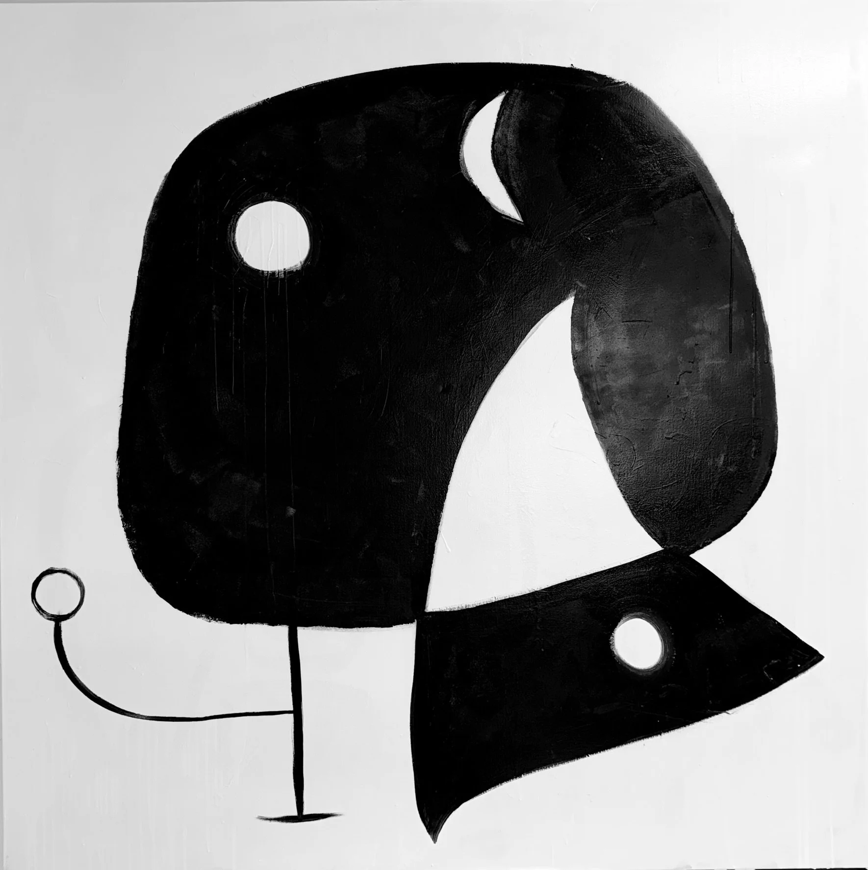 Senatori_My universe in monochrome