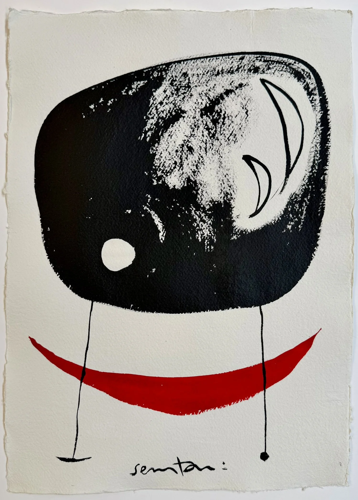 Senatori_My Medium Universe After birth