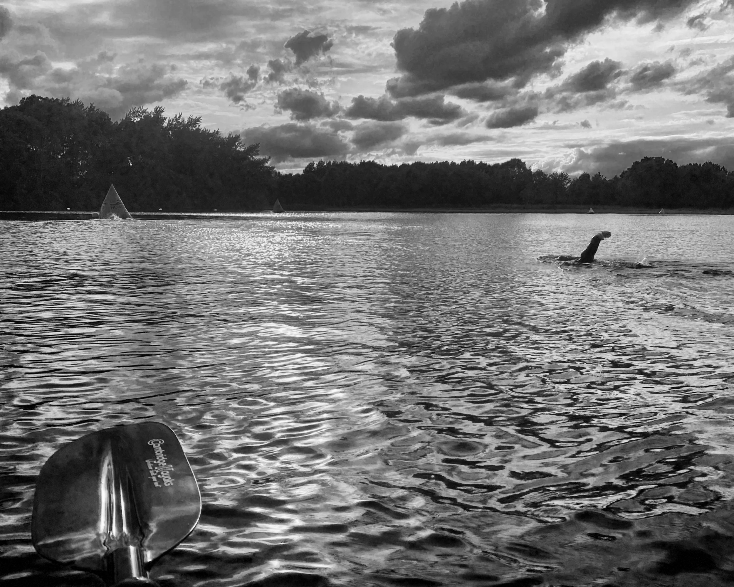 Swimmer in open water with wetsuit on being watched from coach in a kayak.