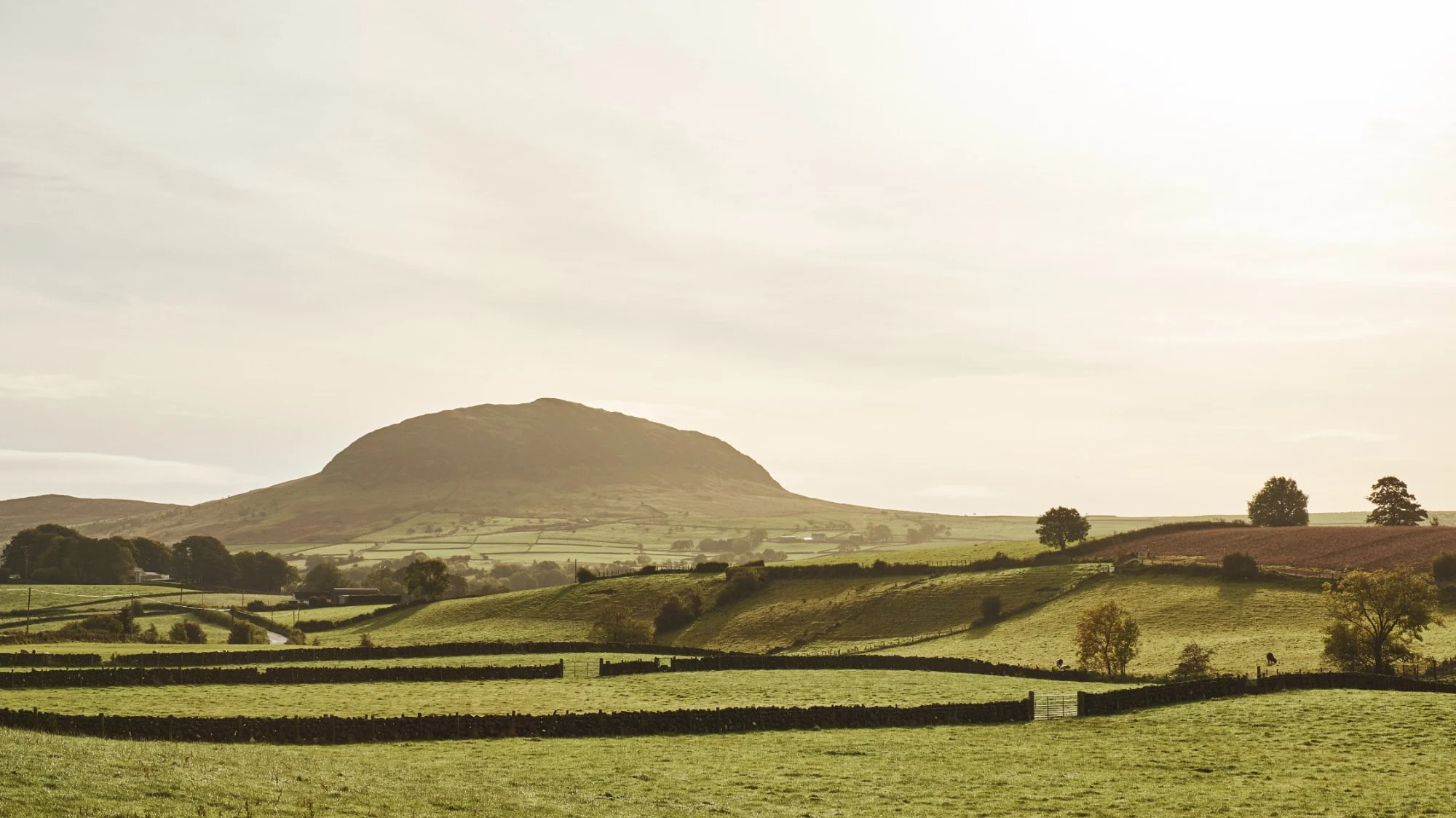 slemish mountain outside broughshane with the rolling green fields surrounding it divided by stone walls