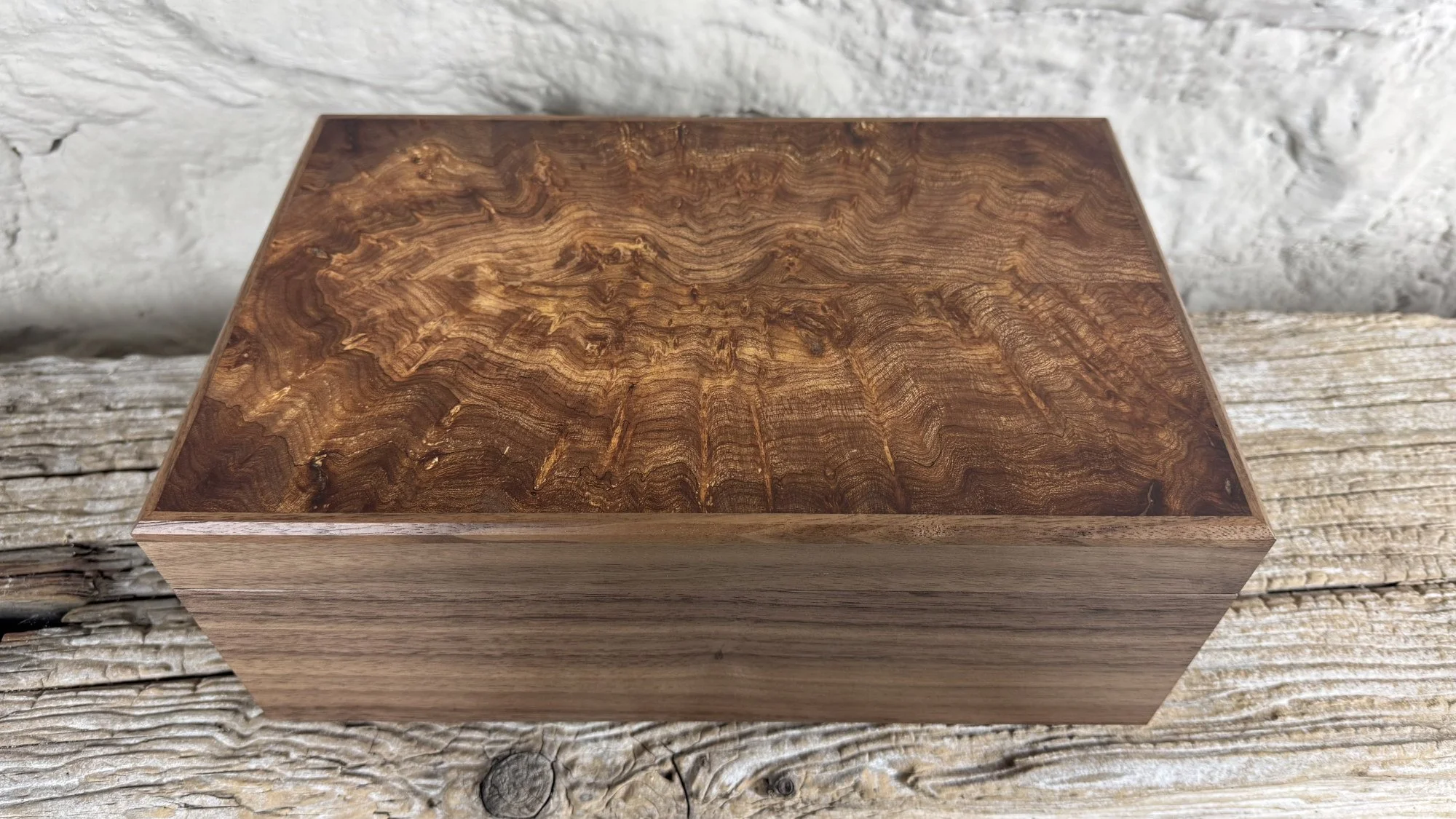 burr elm and walnut humidor.jpg