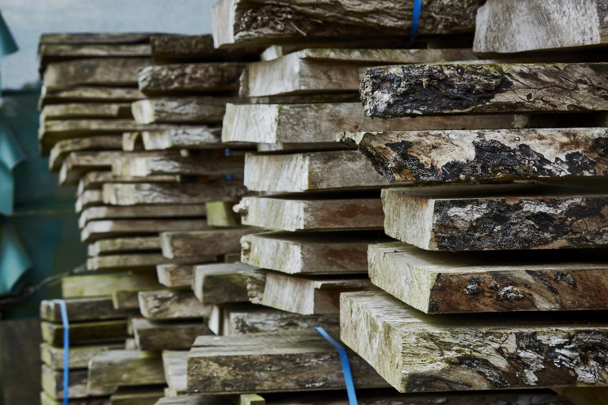 Stacked firewood logs with bark, some with moss and mold, bundled with blue plastic ties.