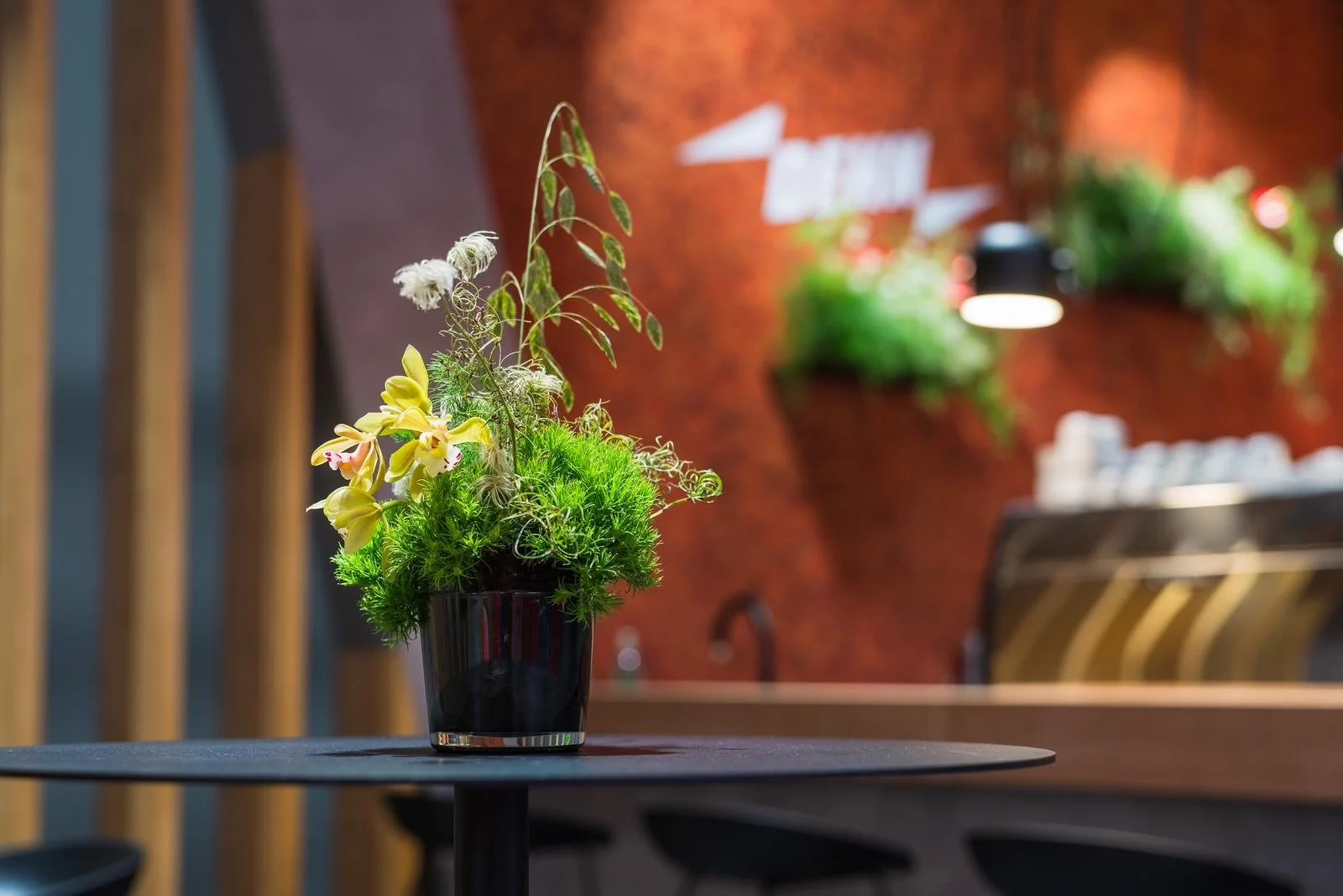 image_6483441 (5).JPG