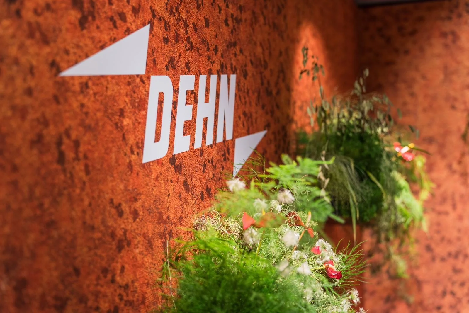 image_6483441 (4).JPG