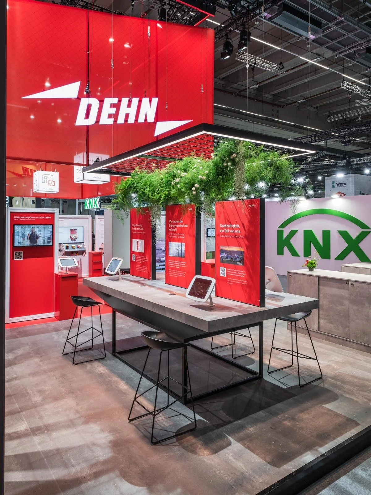 image_6483441 (2).JPG