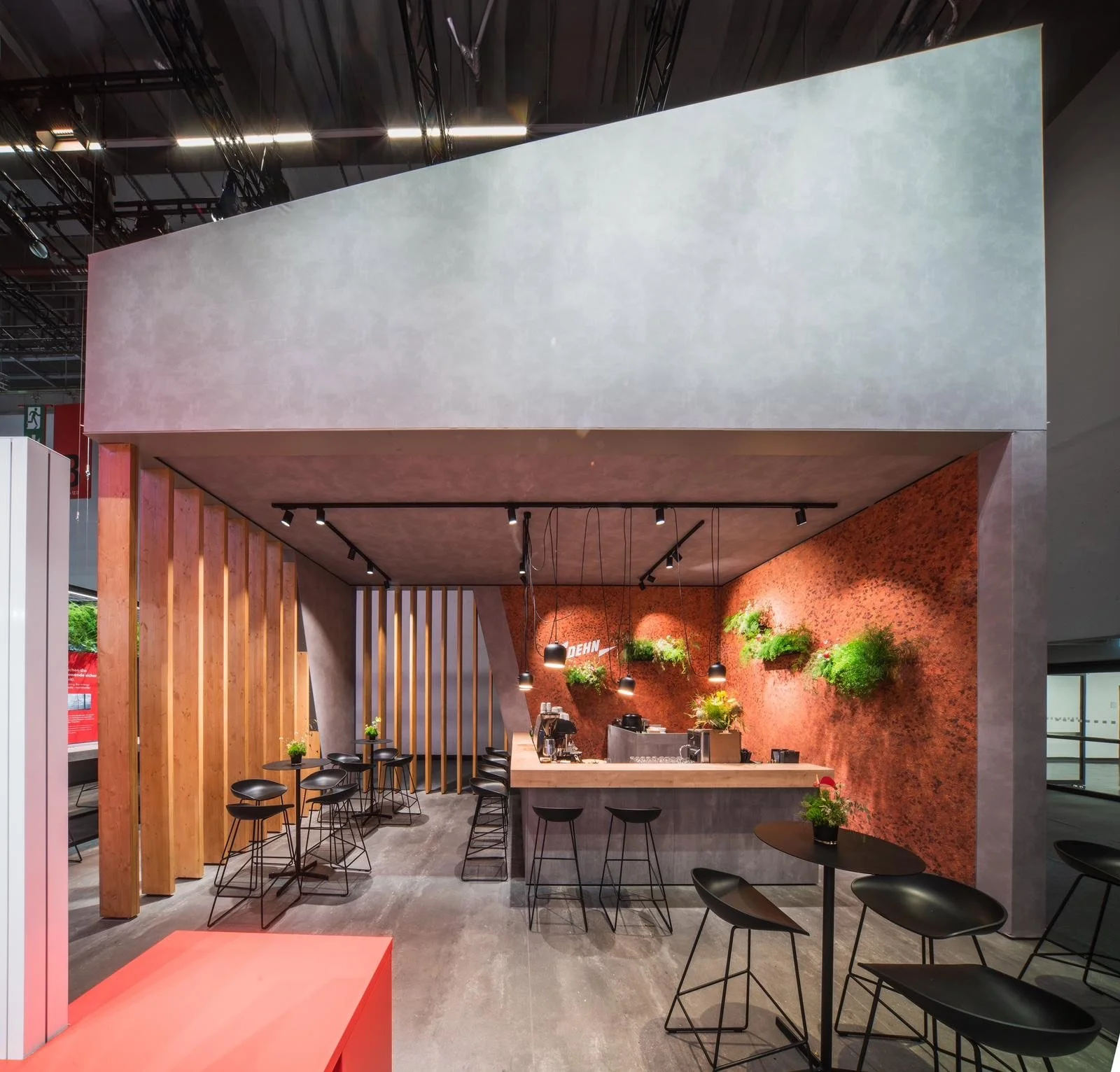 image_6483441 (3).JPG