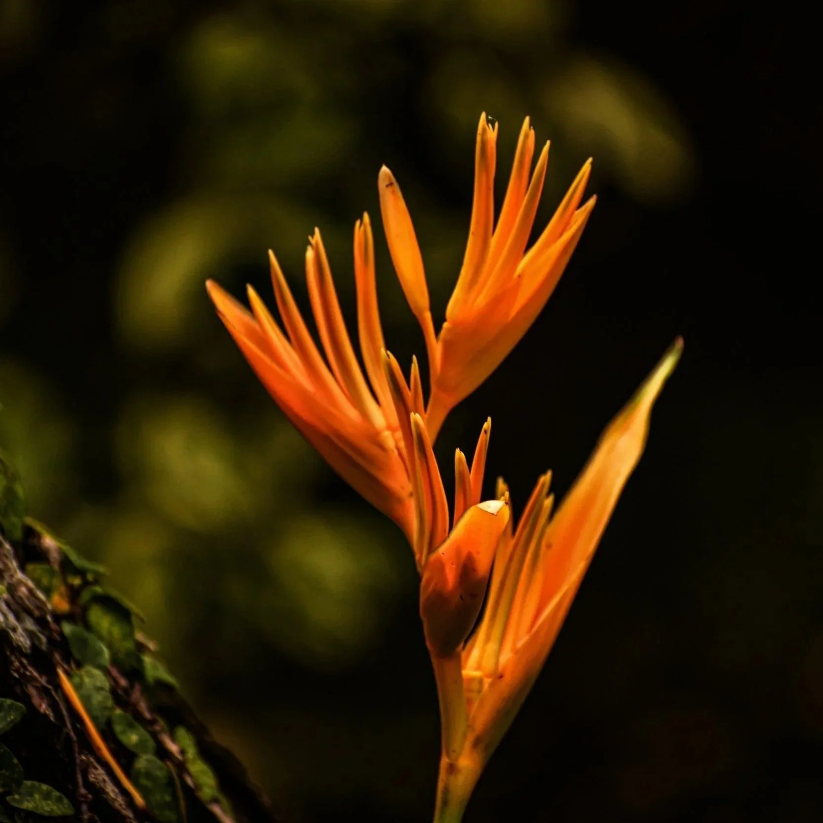 Vapaa taide tarjoaa uusia näkökulmia – se on investointi tulevaisuuteen