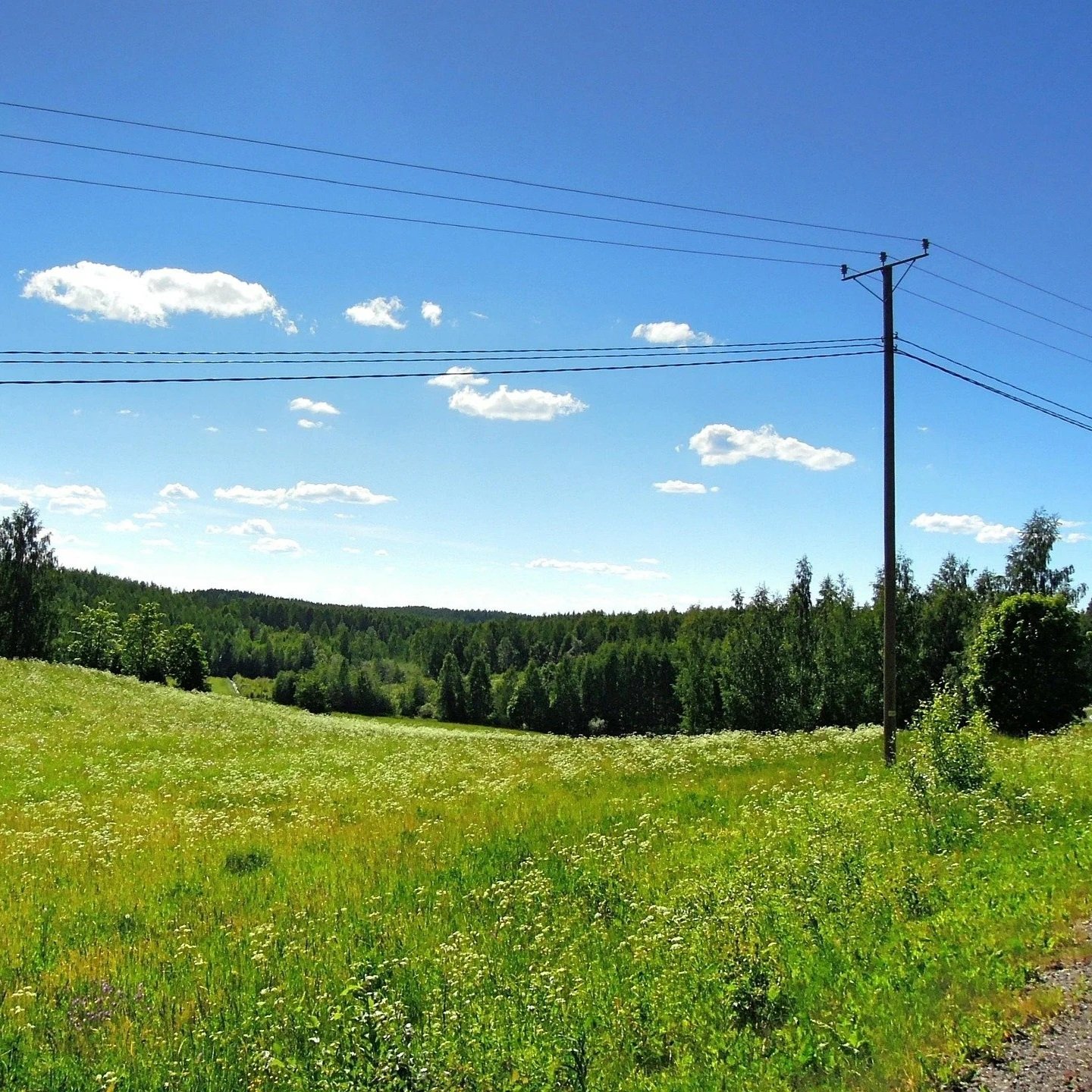 Hyvää kesää!