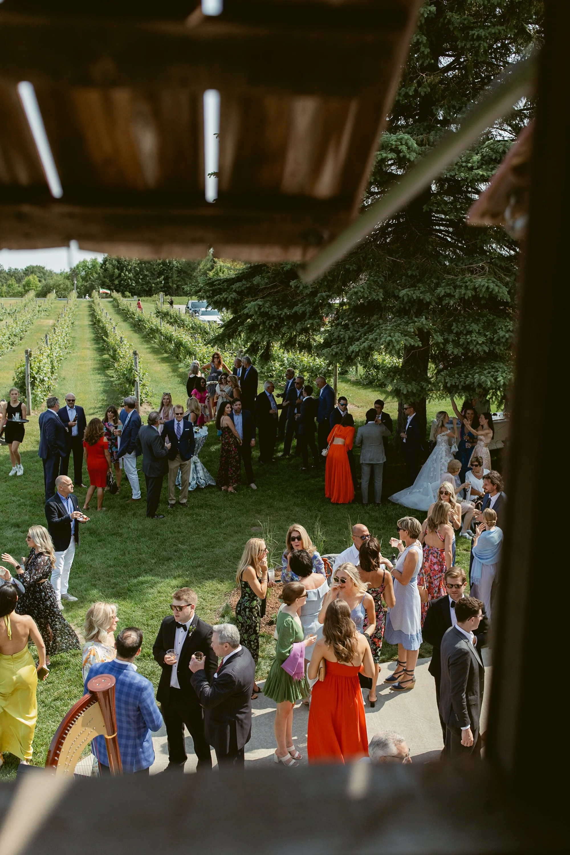 Group of people at an outdoor wedding reception in a vineyard, seen through a window opening.