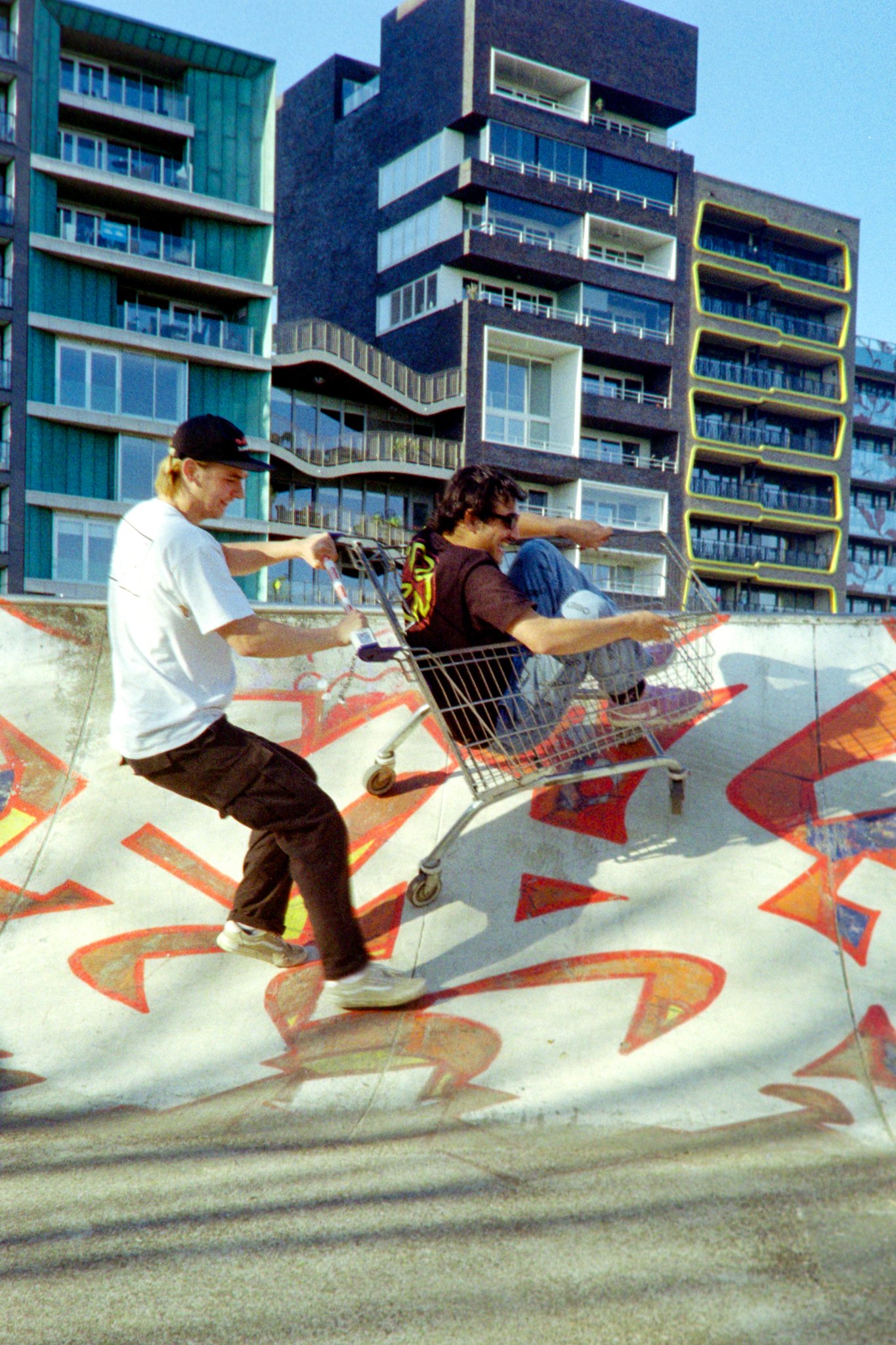 Marnix & Dhani (2020)