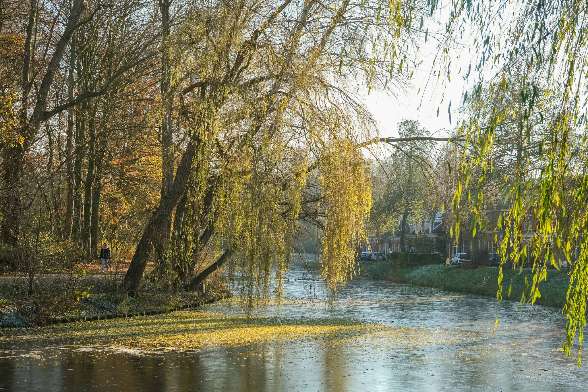Noorderplantsoen (2022)