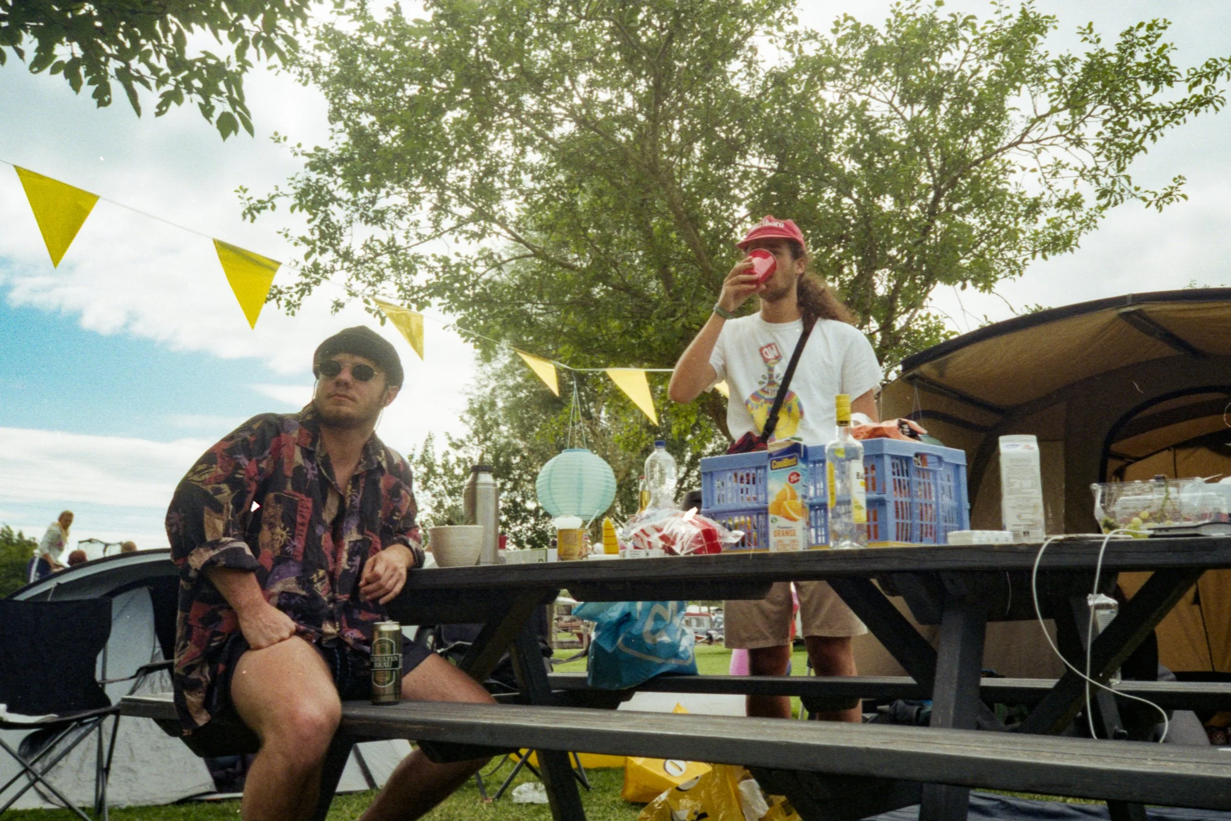 Nieck and Mehran (2020)