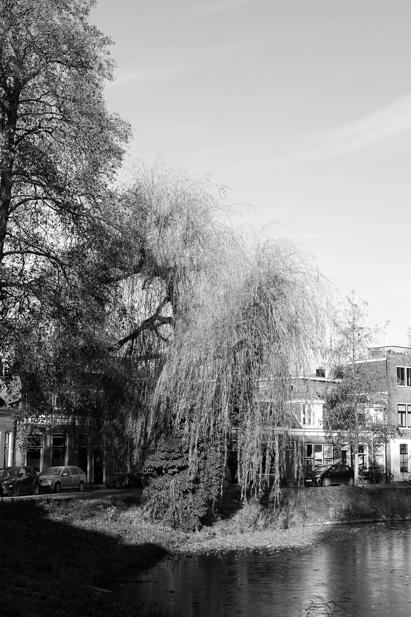 Noorderplantsoen (2022)