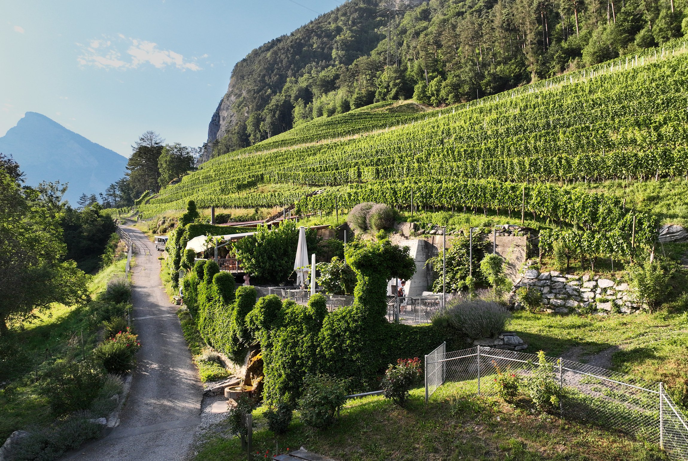 Dronenaufnahme Grotto im Weinberg