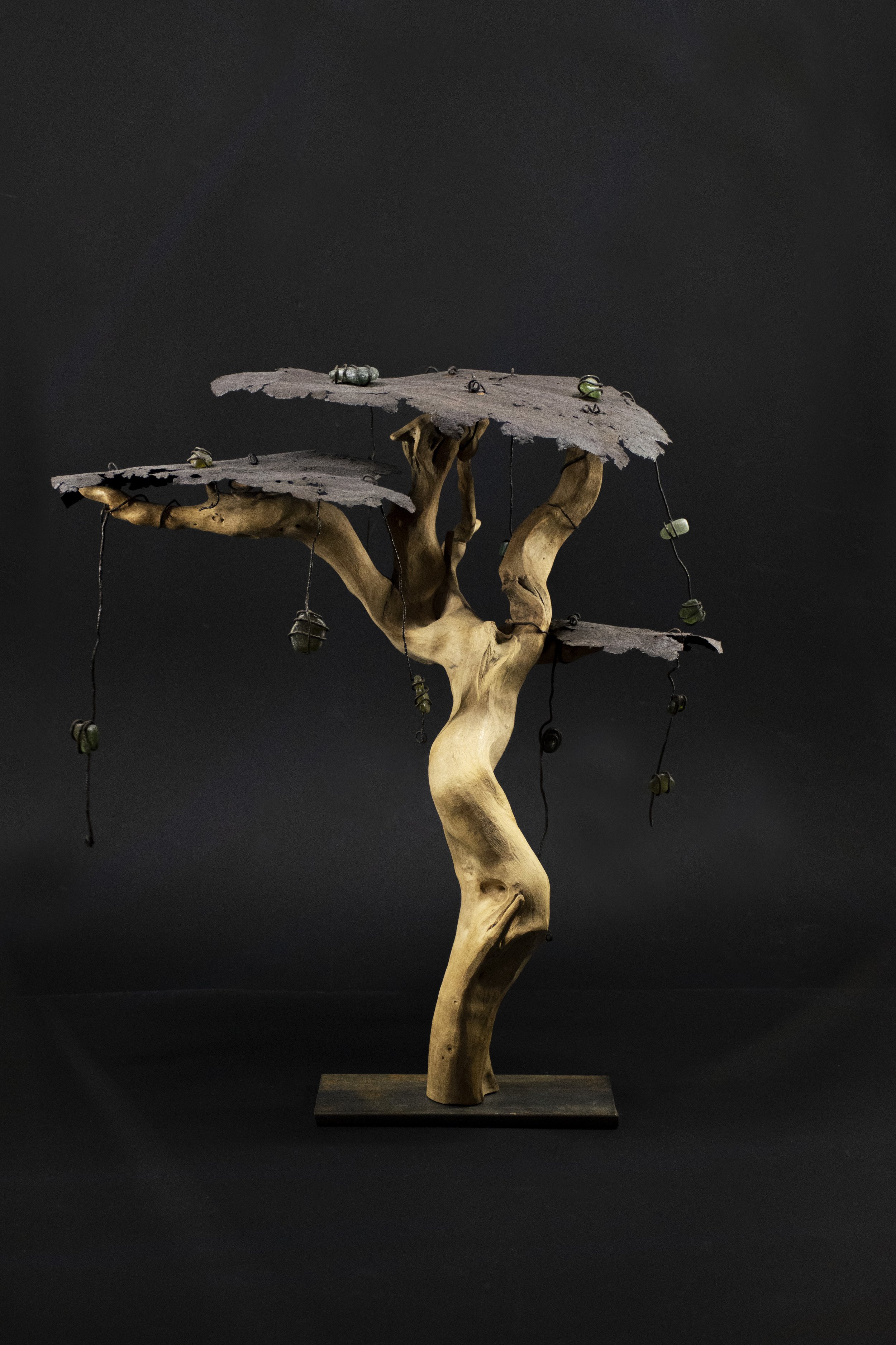 Savane - L'Arbre à perles