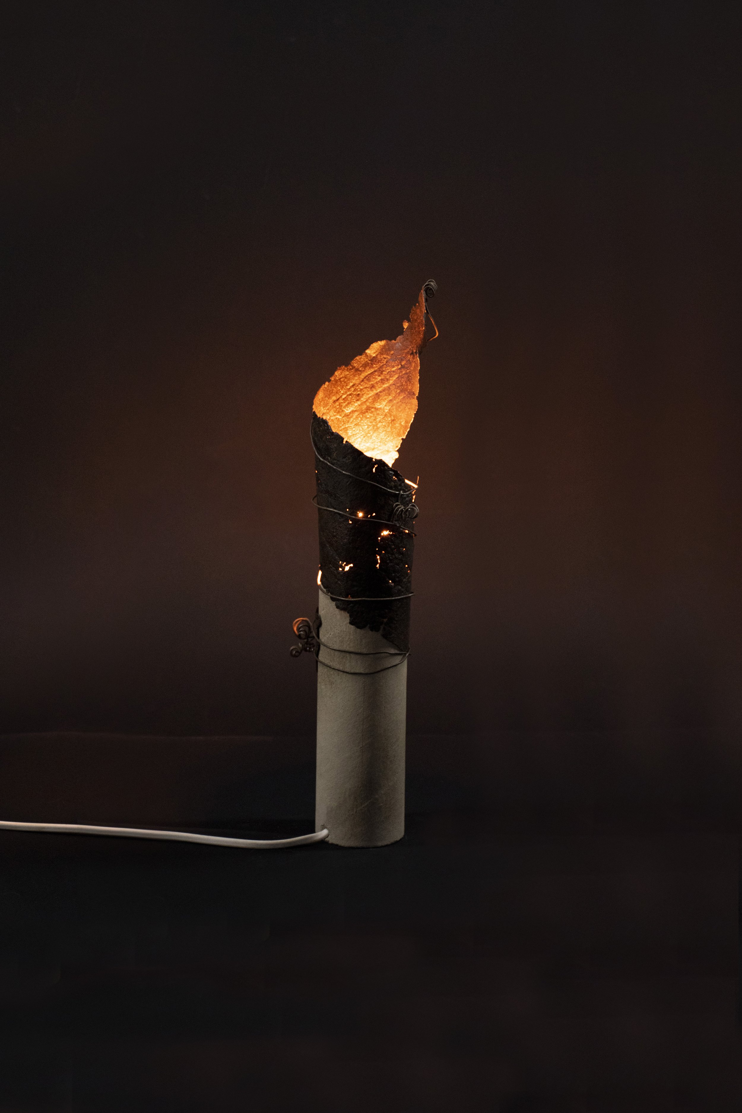 Flamme1.jpg