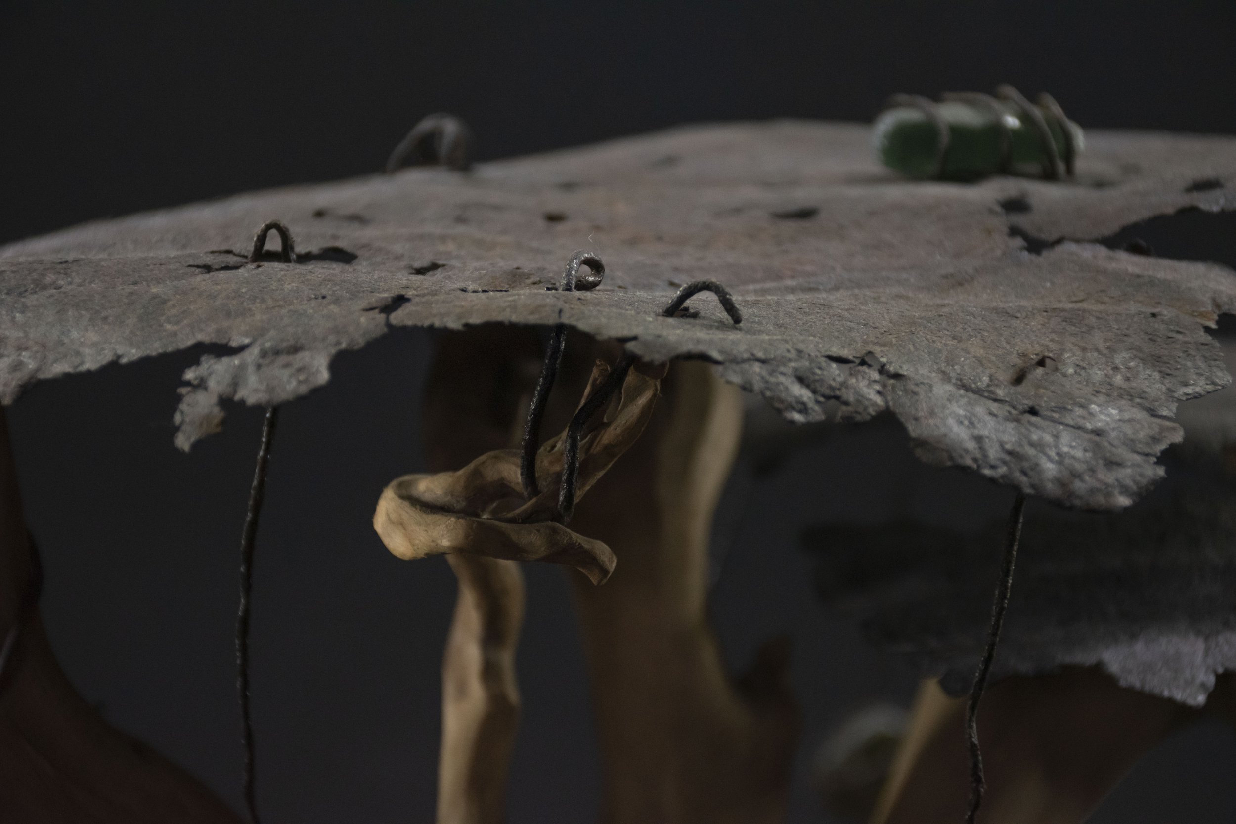 baobab détail 4.jpg