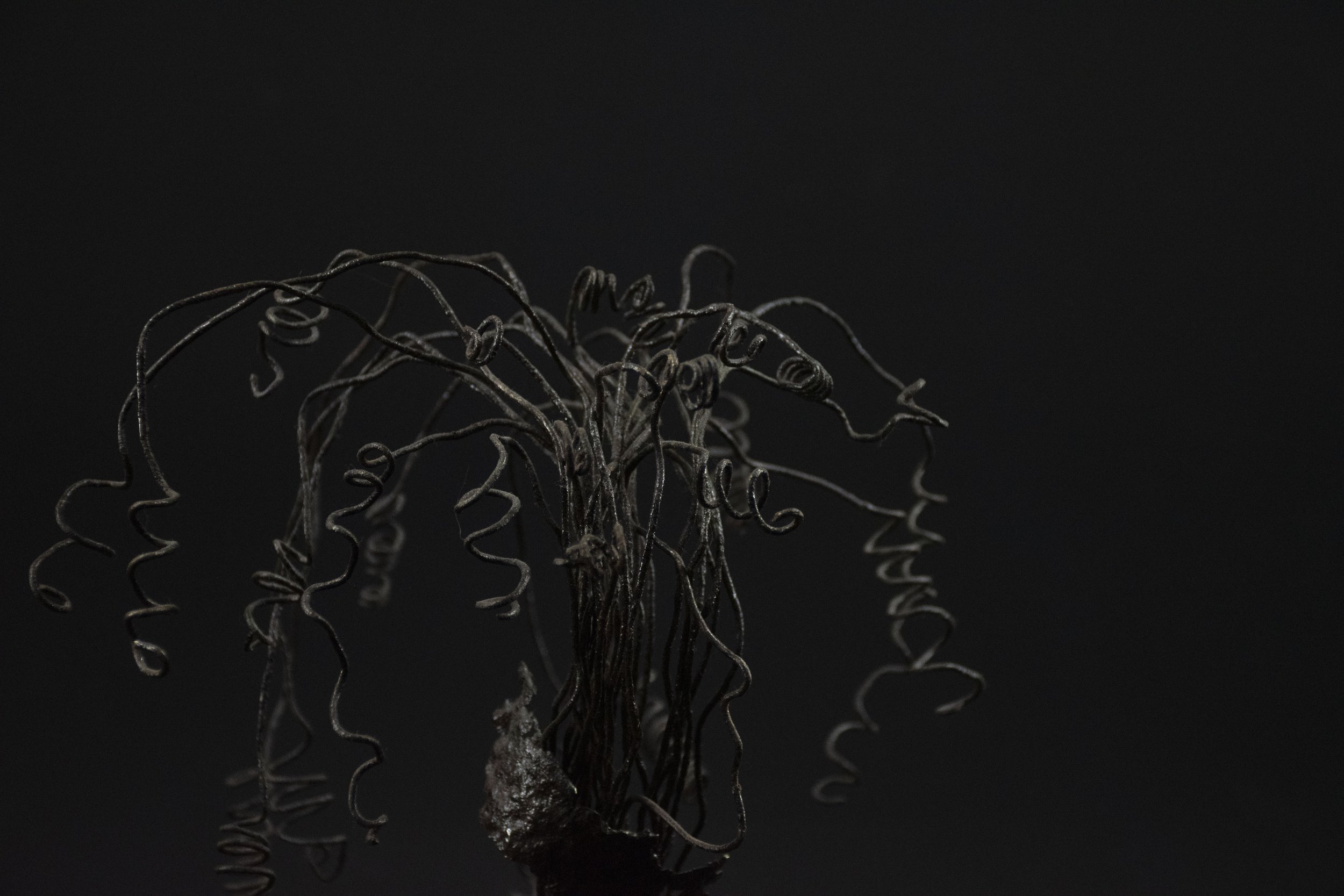 Frisée détail 2.jpg