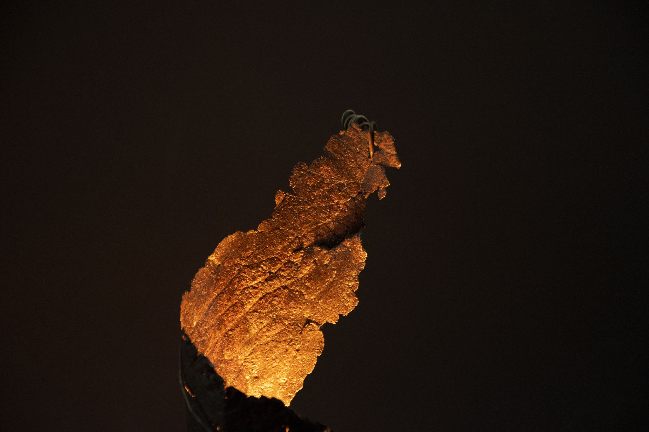 Flamme détail 2.jpg