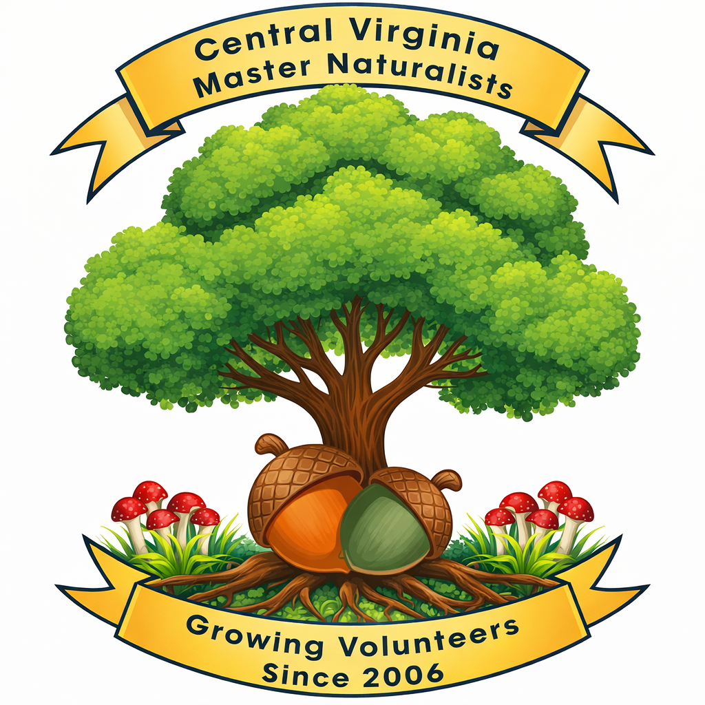 Mastering the Art of Being A Master Naturalist