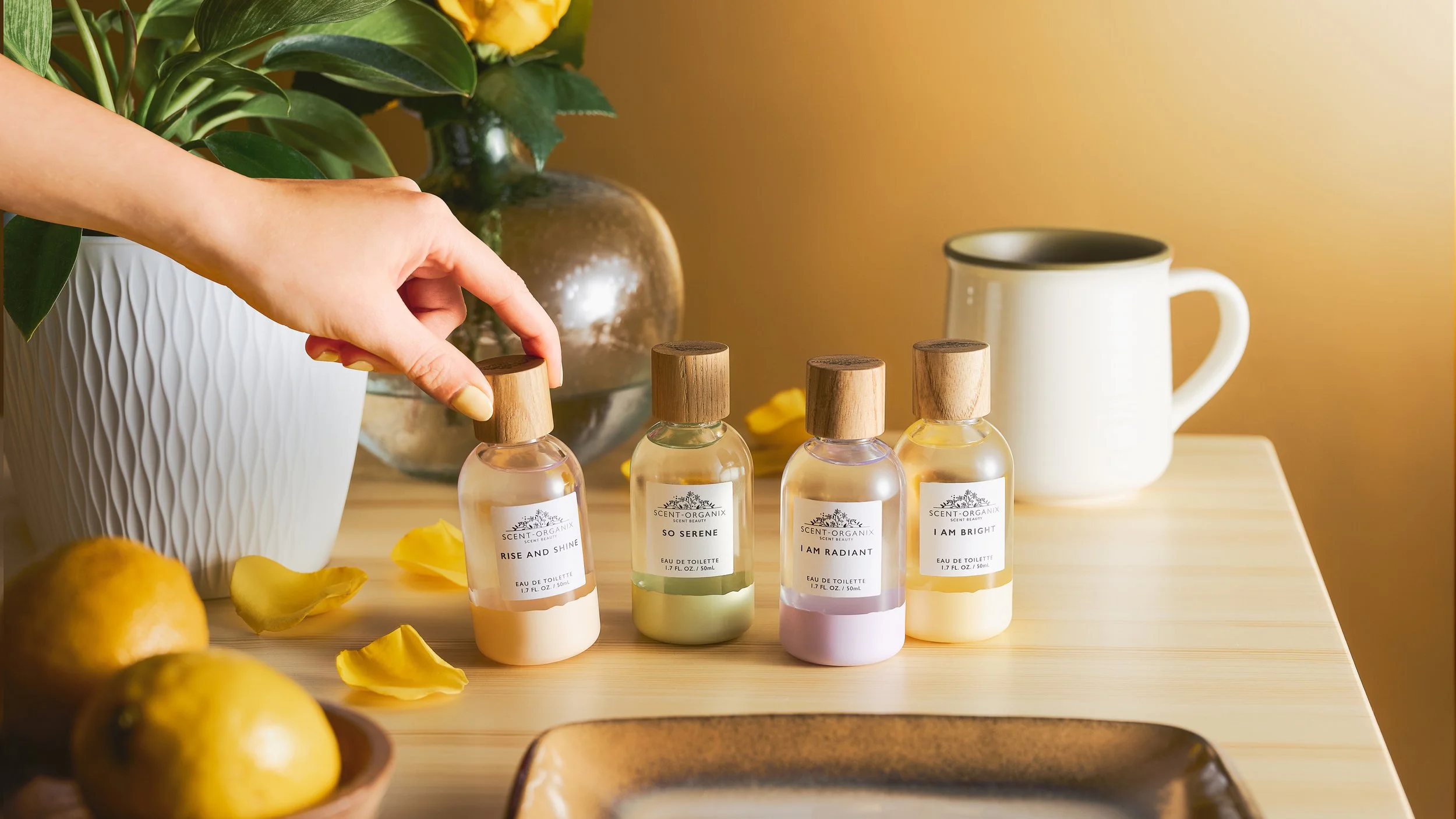 2022_ScentBeauty_OGX_16_16x9.jpg
