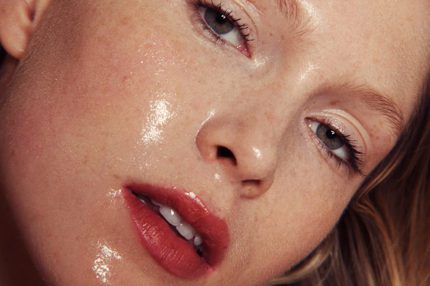 Prickly Pear oil, the new Argan?