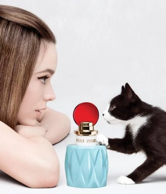 MIU MIU: cutting-edge en trendsettend