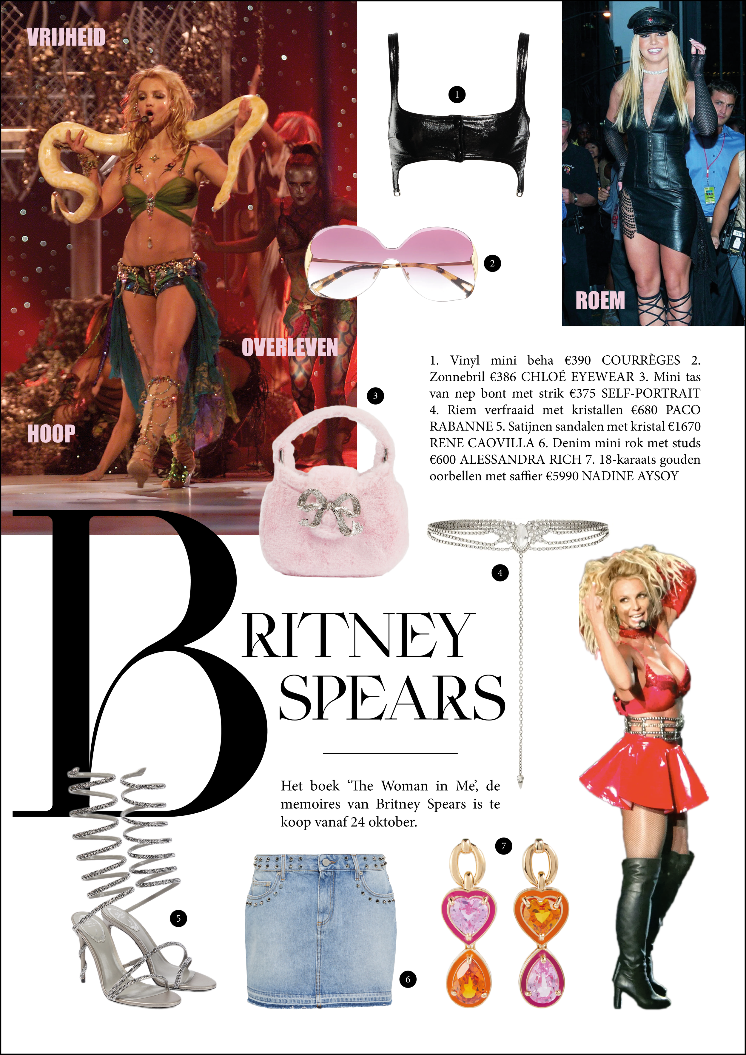 Britney: Vrijheid,roem,overleven en hoop. 
