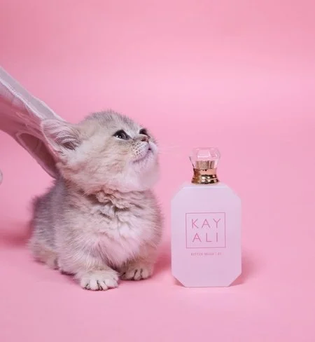 FLUFFY &amp; FURRY: PARFUMS DIE RUIKEN NAAR EEN KITTEN VACHT