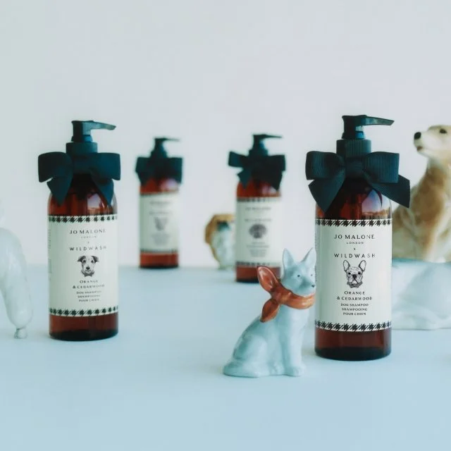 DIT IS HET ULTIEME SPA-MOMENT. VOOR JE HOND!&nbsp;