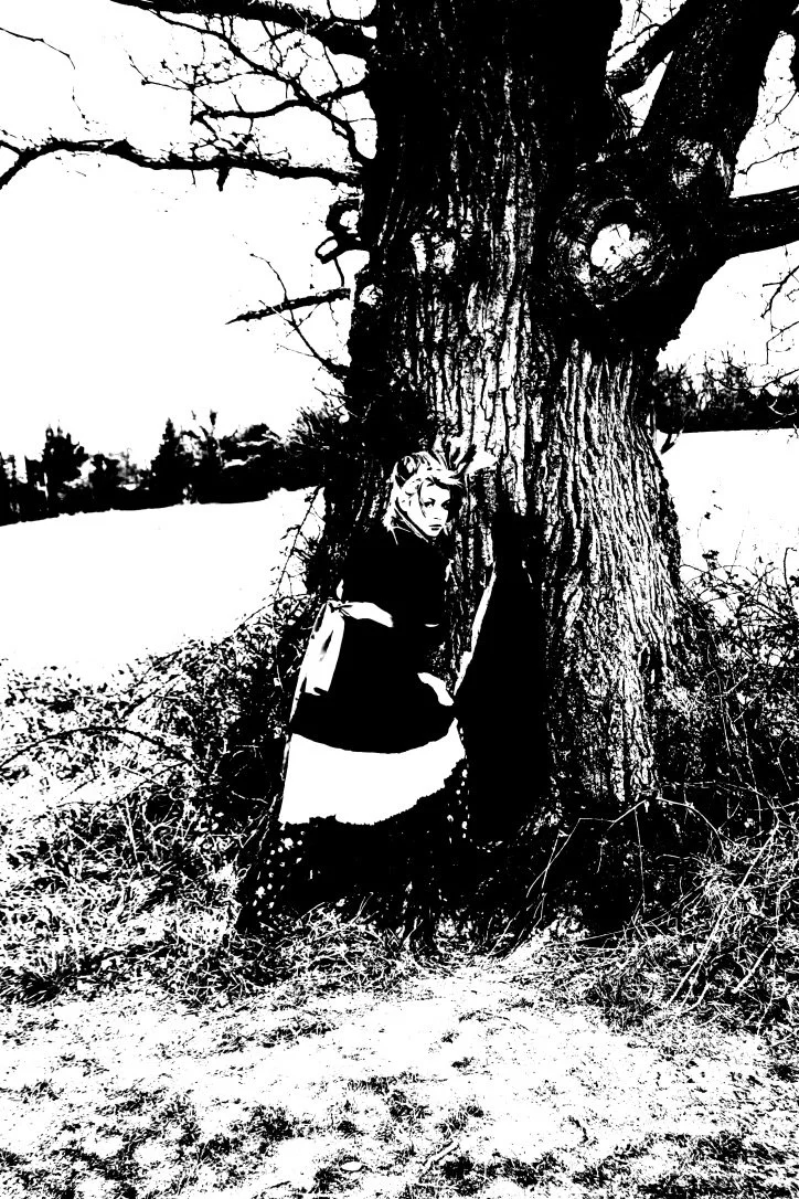 The trees have passed