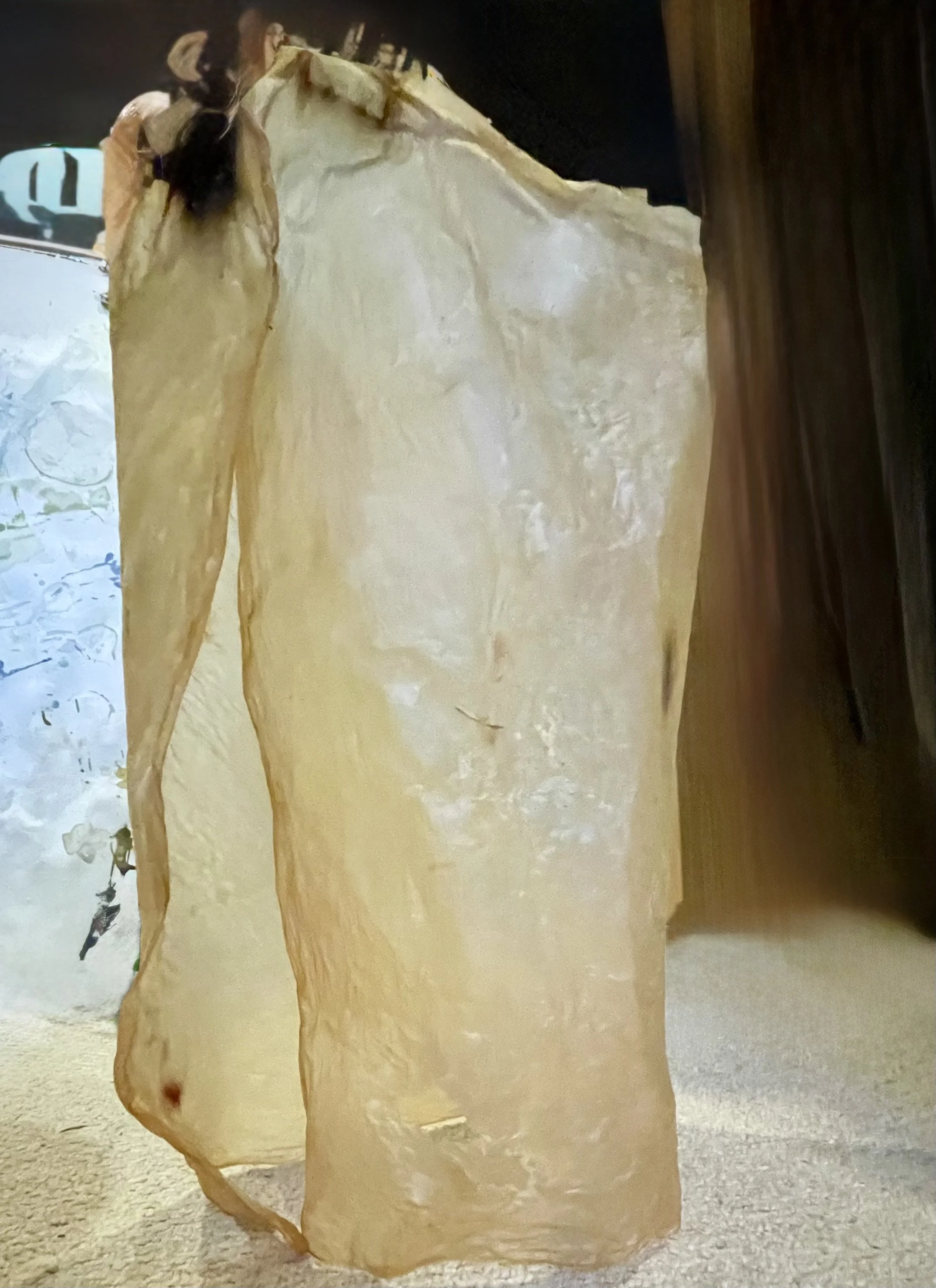 Kombucha Scoby as sculptural material