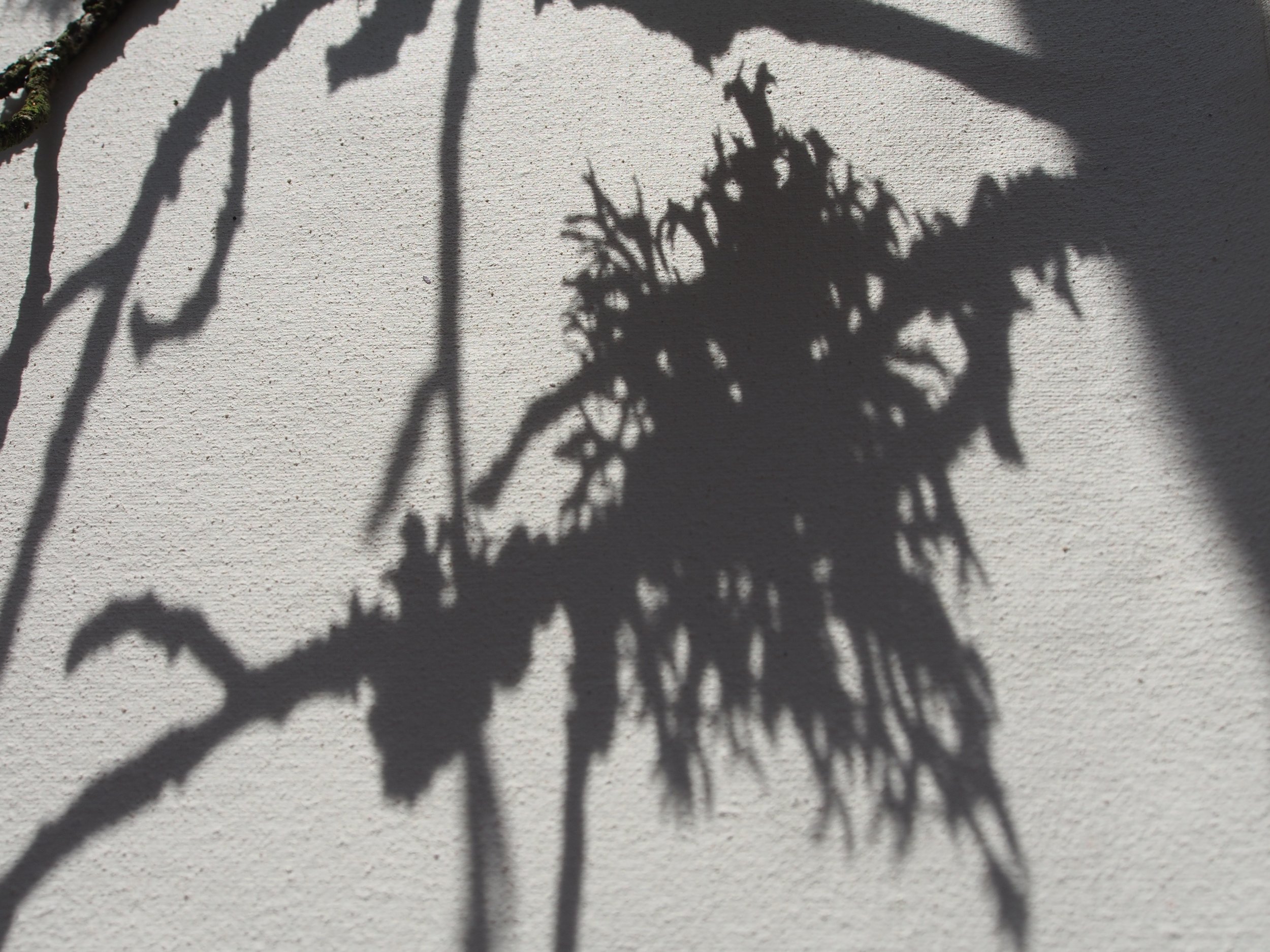 P2240774.jpeg