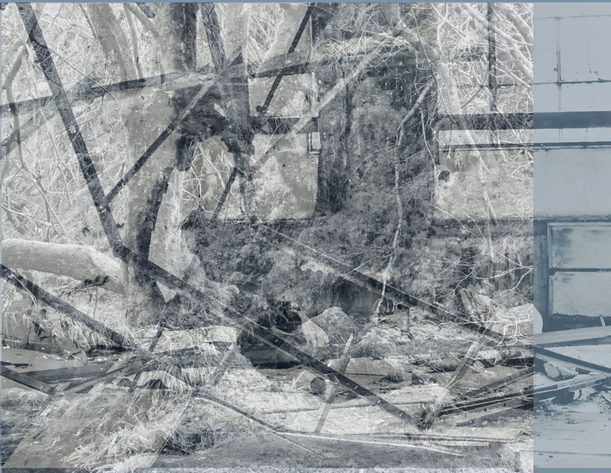 Collage 2.jpg