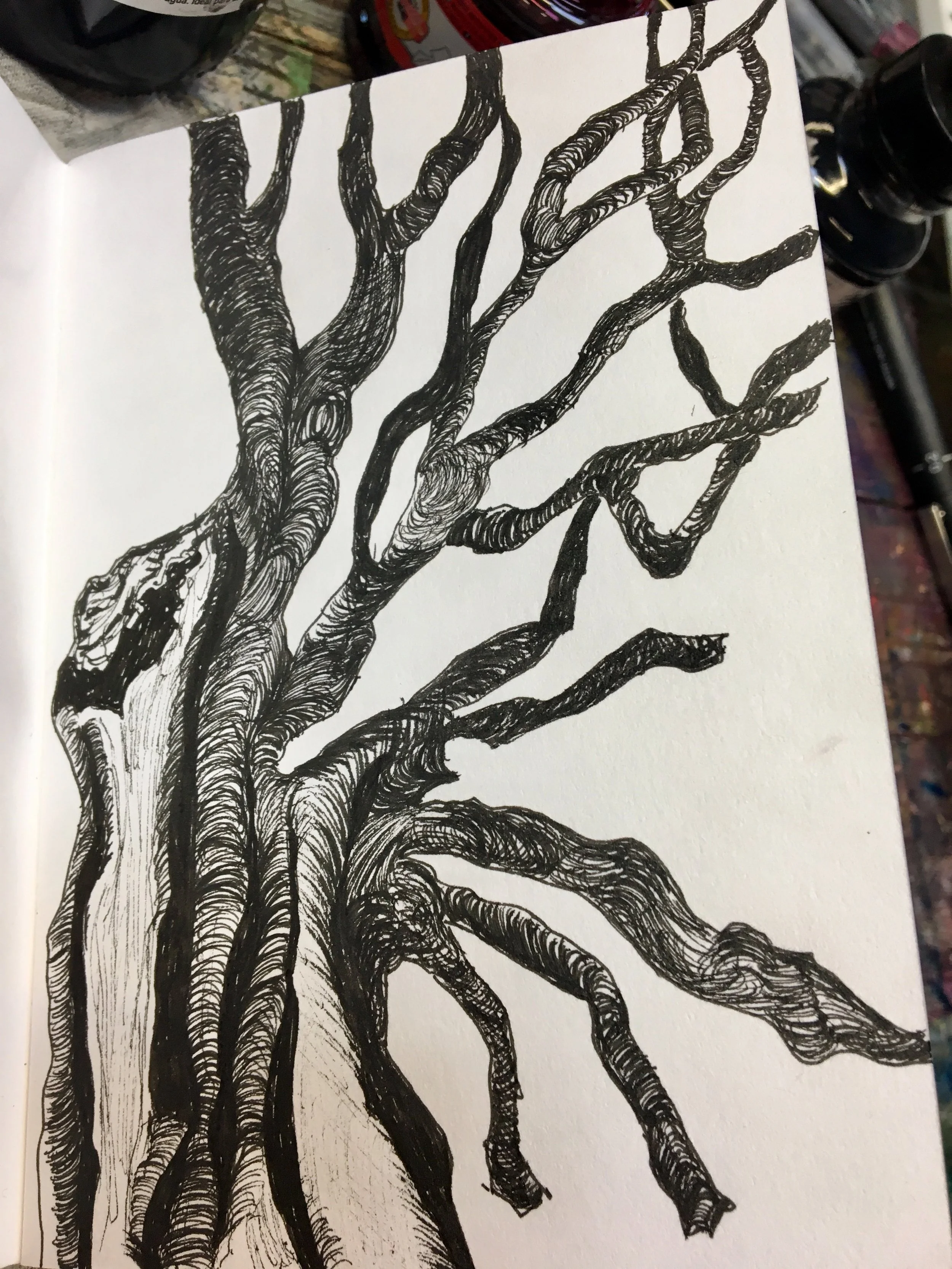 A black ink drawing of a tree with detailed, twisting branches on white paper.