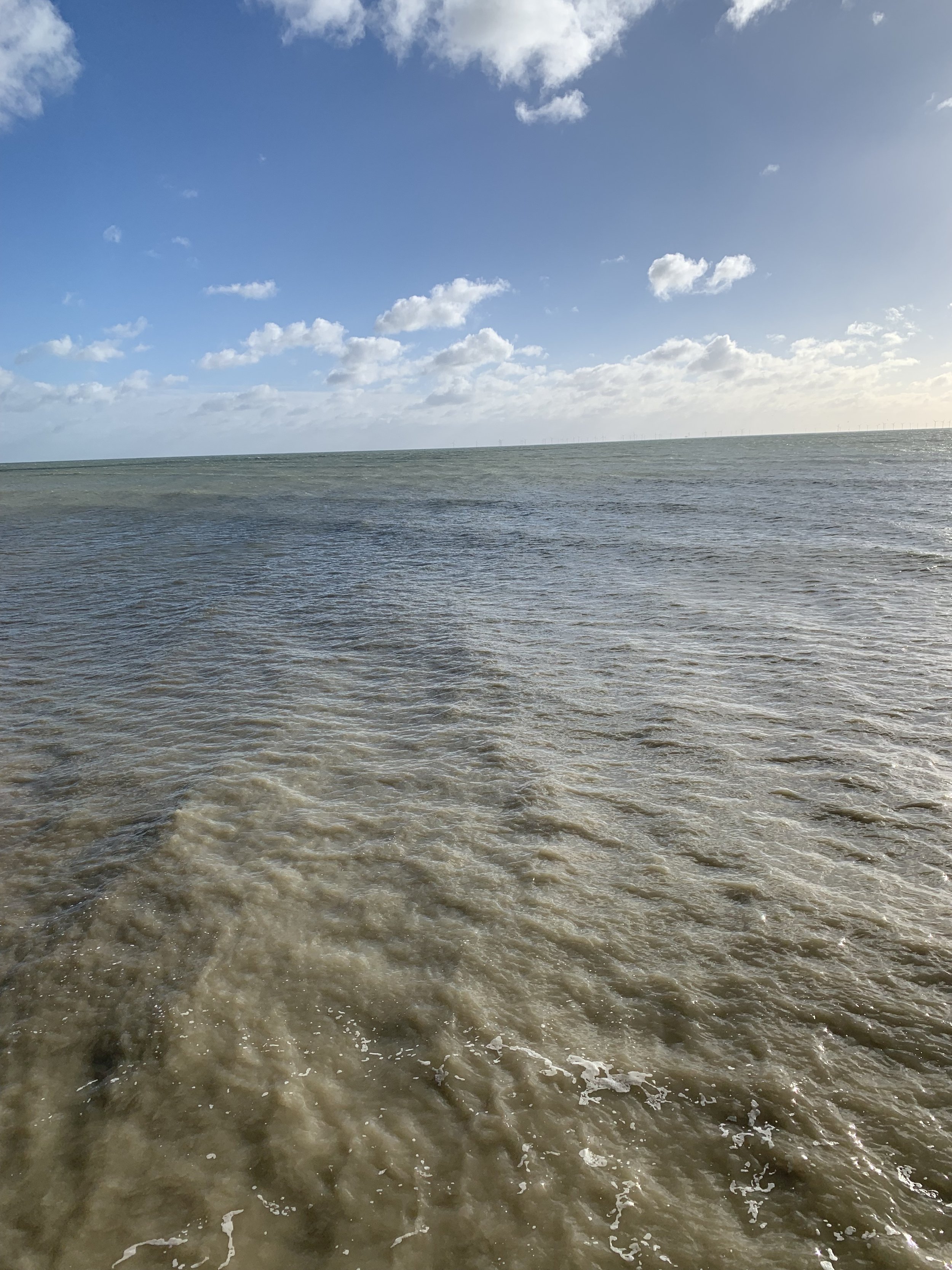IMG_0940.jpeg