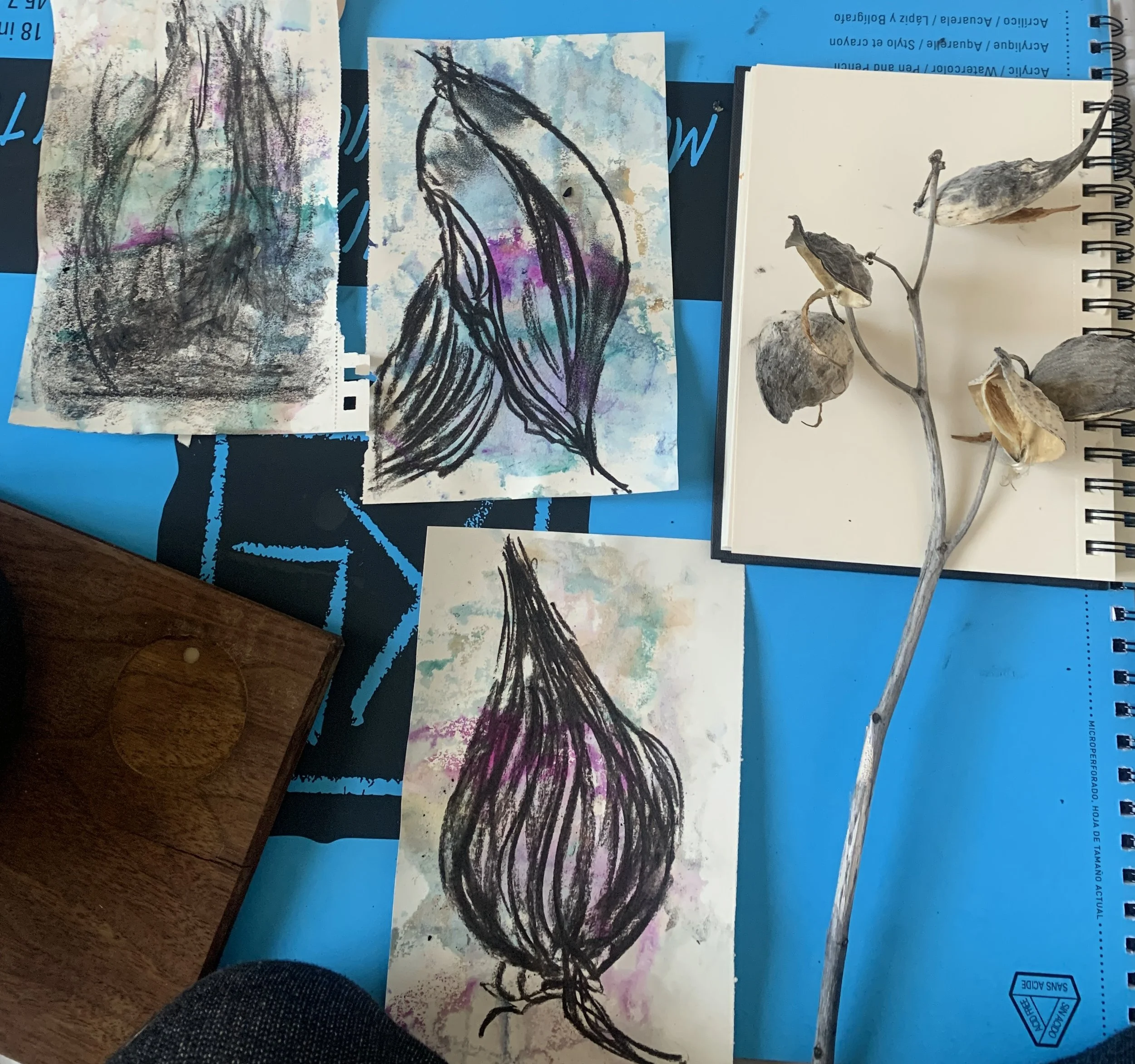 Three watercolor paintings featuring butterfly and plant sketches with colorful backgrounds, placed on a blue surface alongside natural seed pods.