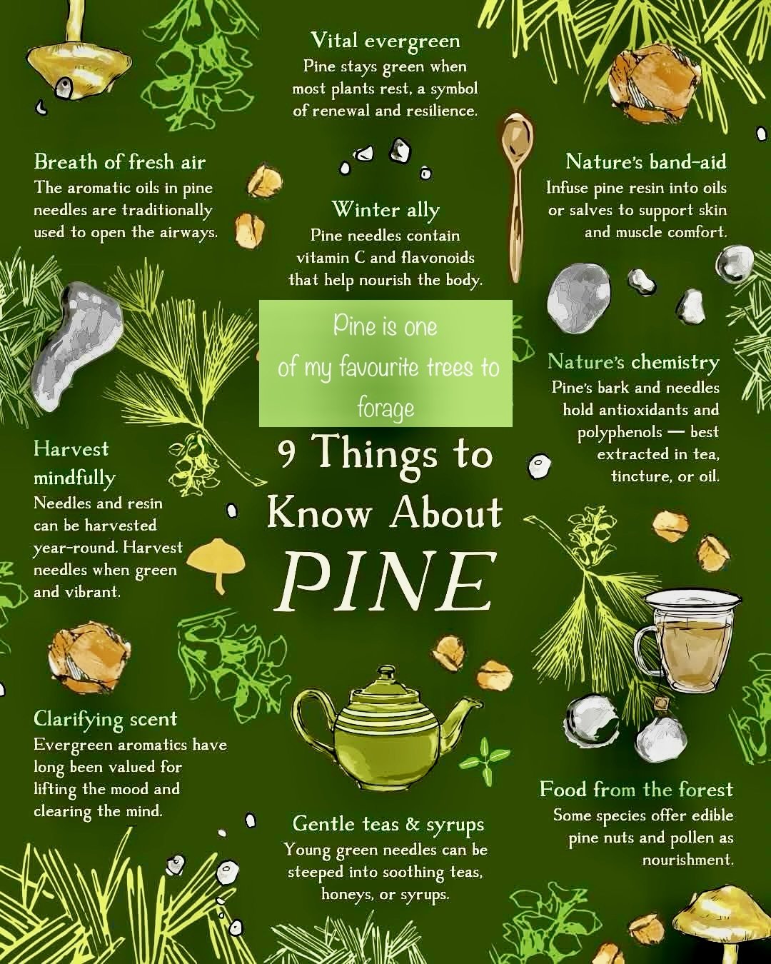 things to know about pines poster