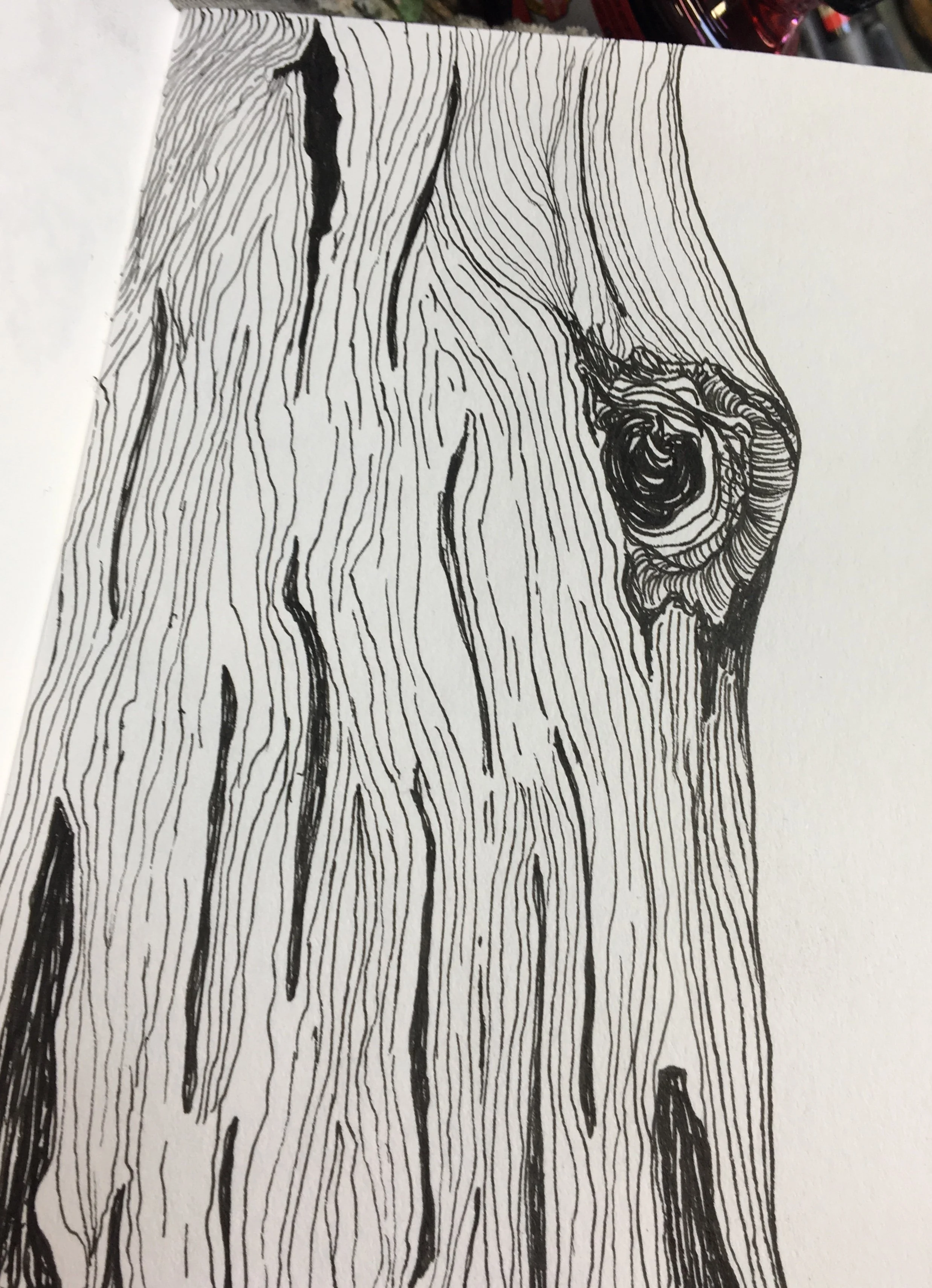 Close-up of black ink drawing on white paper resembling wood grain pattern, with a knot in the wood.
