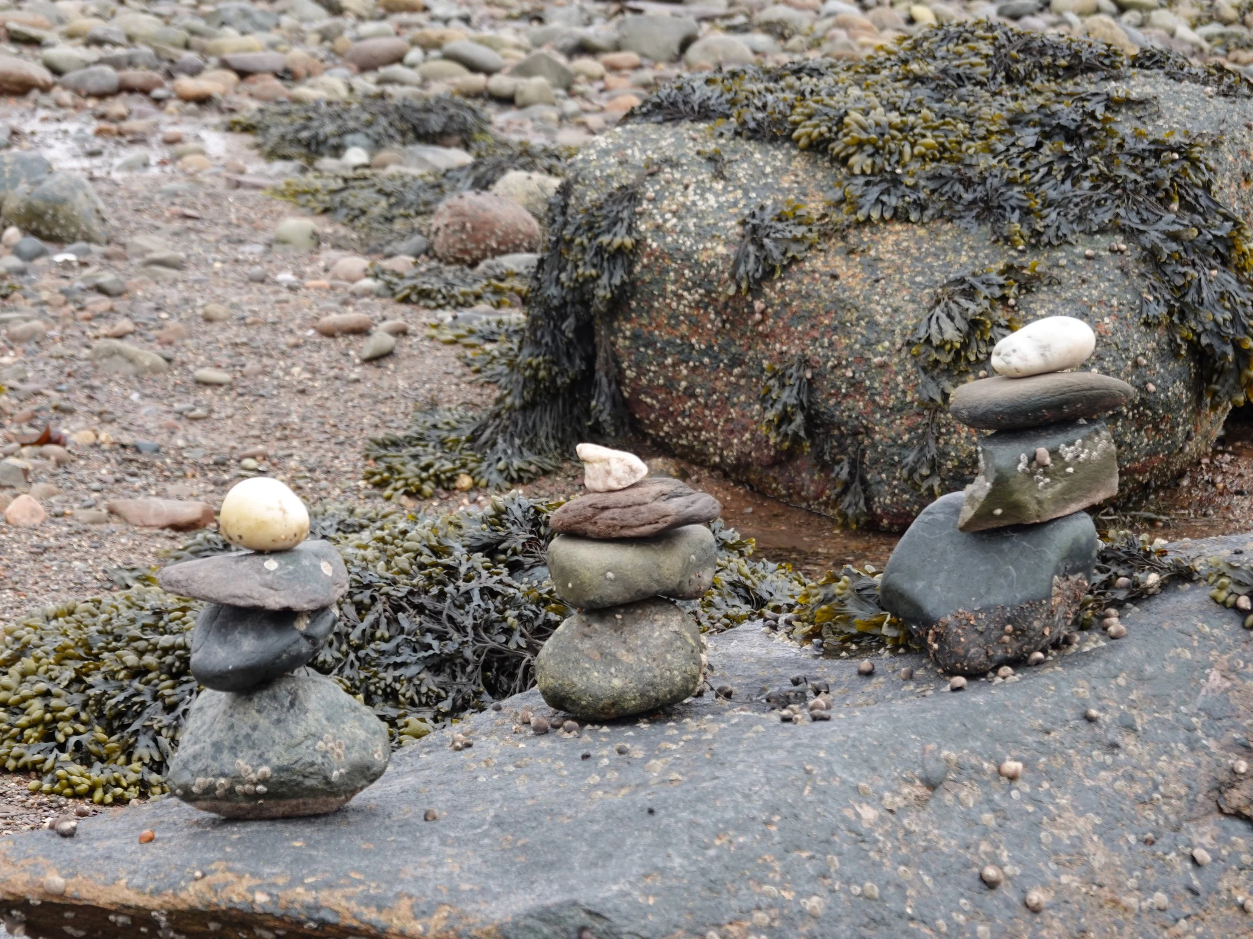 Balancing rocks in a Canadian habour
