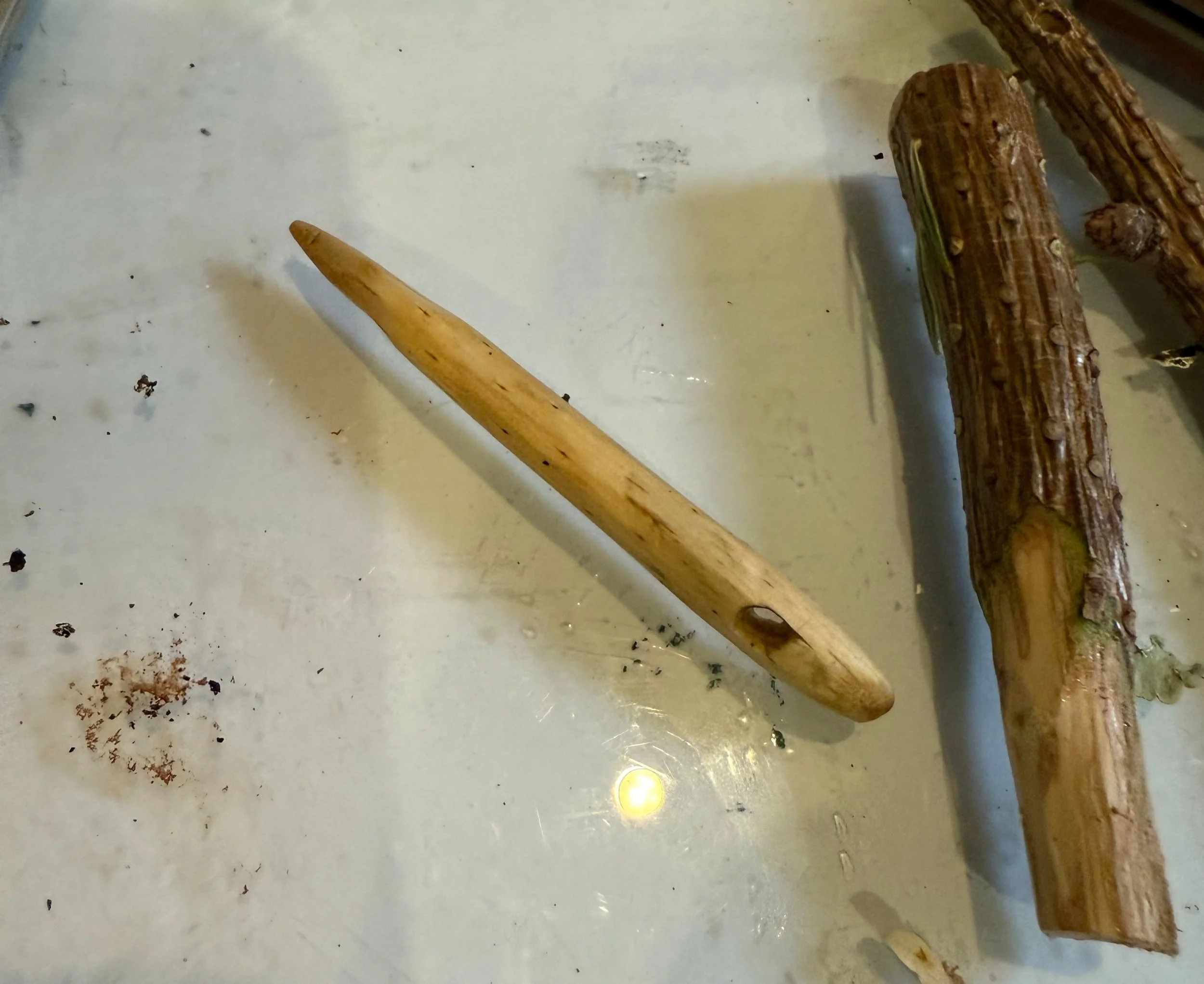 Making tools from nature