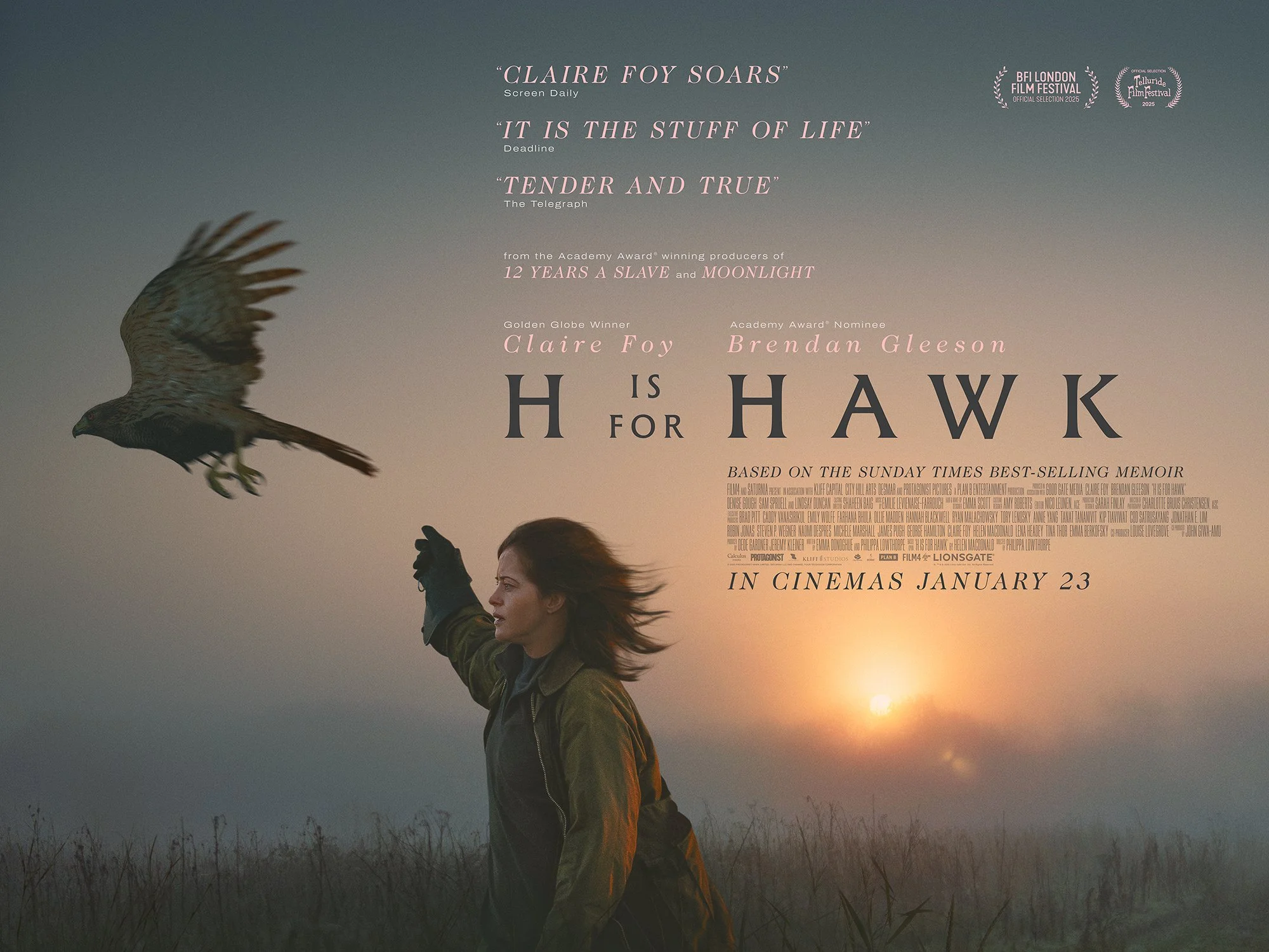 H is for Hawk Key Art, Designed at Intermission